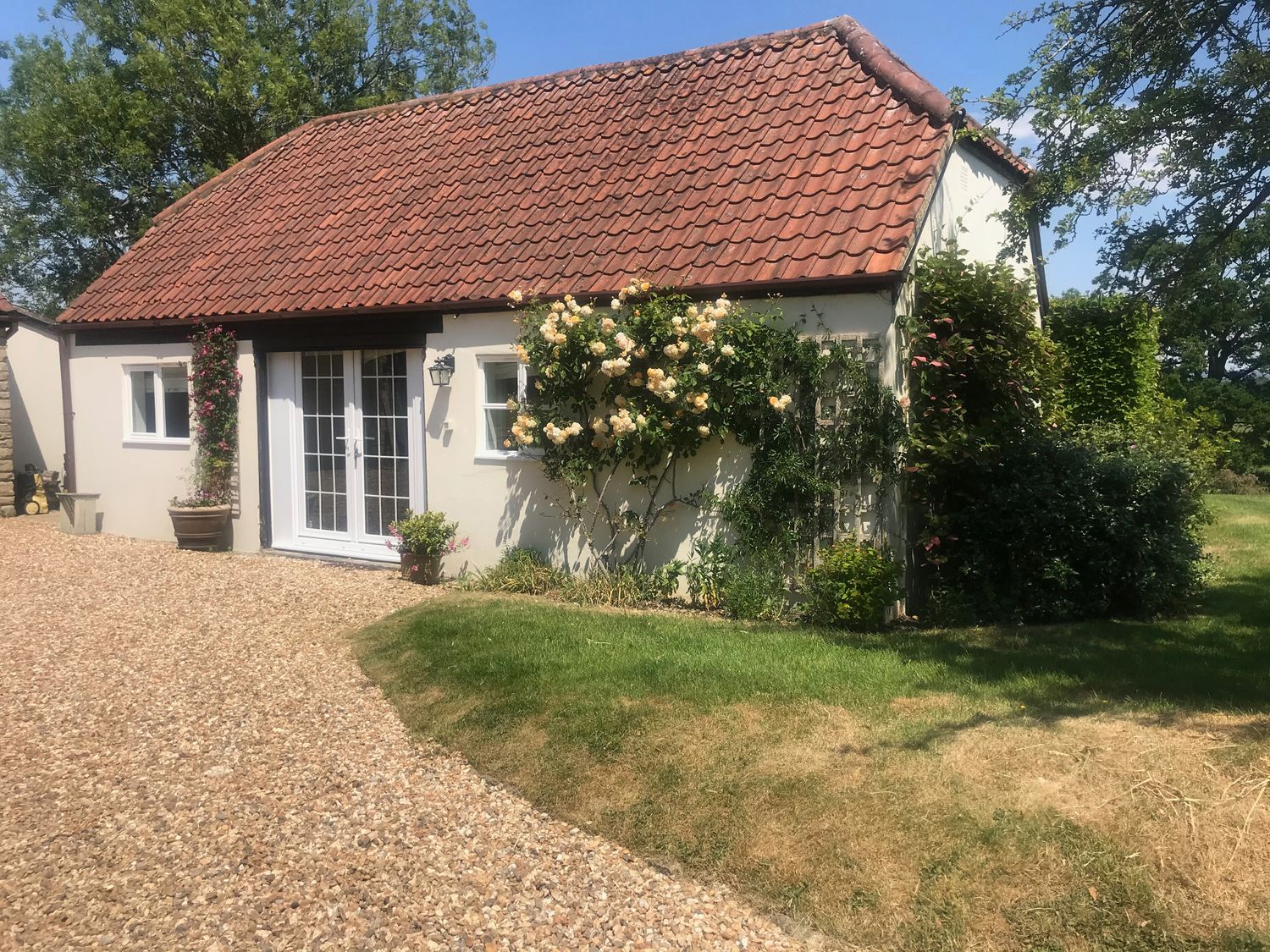 A small house with a tiled roof gravel driveway and plants on the walls at Oke Apple Cottage in Okeford Fitzpaine