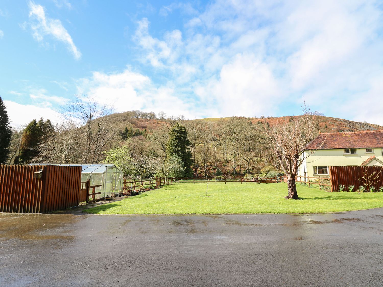 A fenced grassy yard with a tree and a greenhouse next to a cream house with a brown roof at Trout Cottage in Llanwrthwl near Rhayader