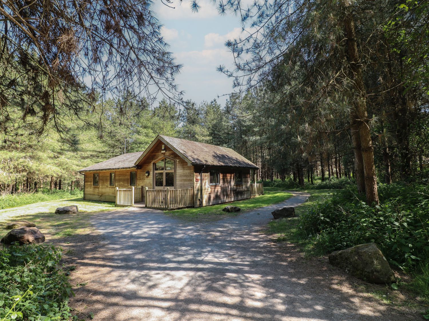 A wooden cabin surrounded by trees with a gravel driveway at Birch Lodge in Rosliston