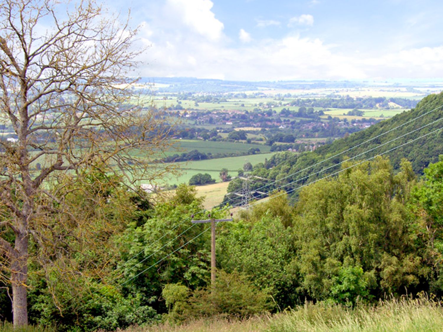 A countryside view with trees power lines and fields at Howle Hideaway in Howle Hill near Ross-on-Wye
