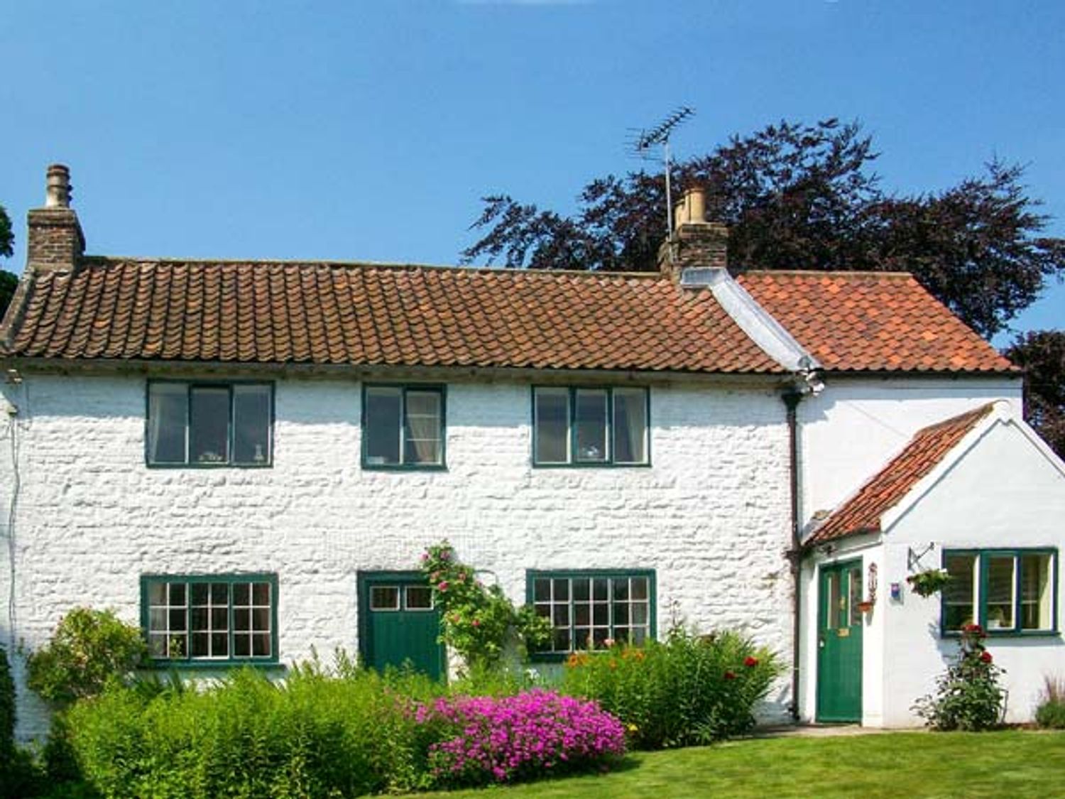 The White Cottage - North Yorkshire (incl. Whitby) - 26091 - photo 1