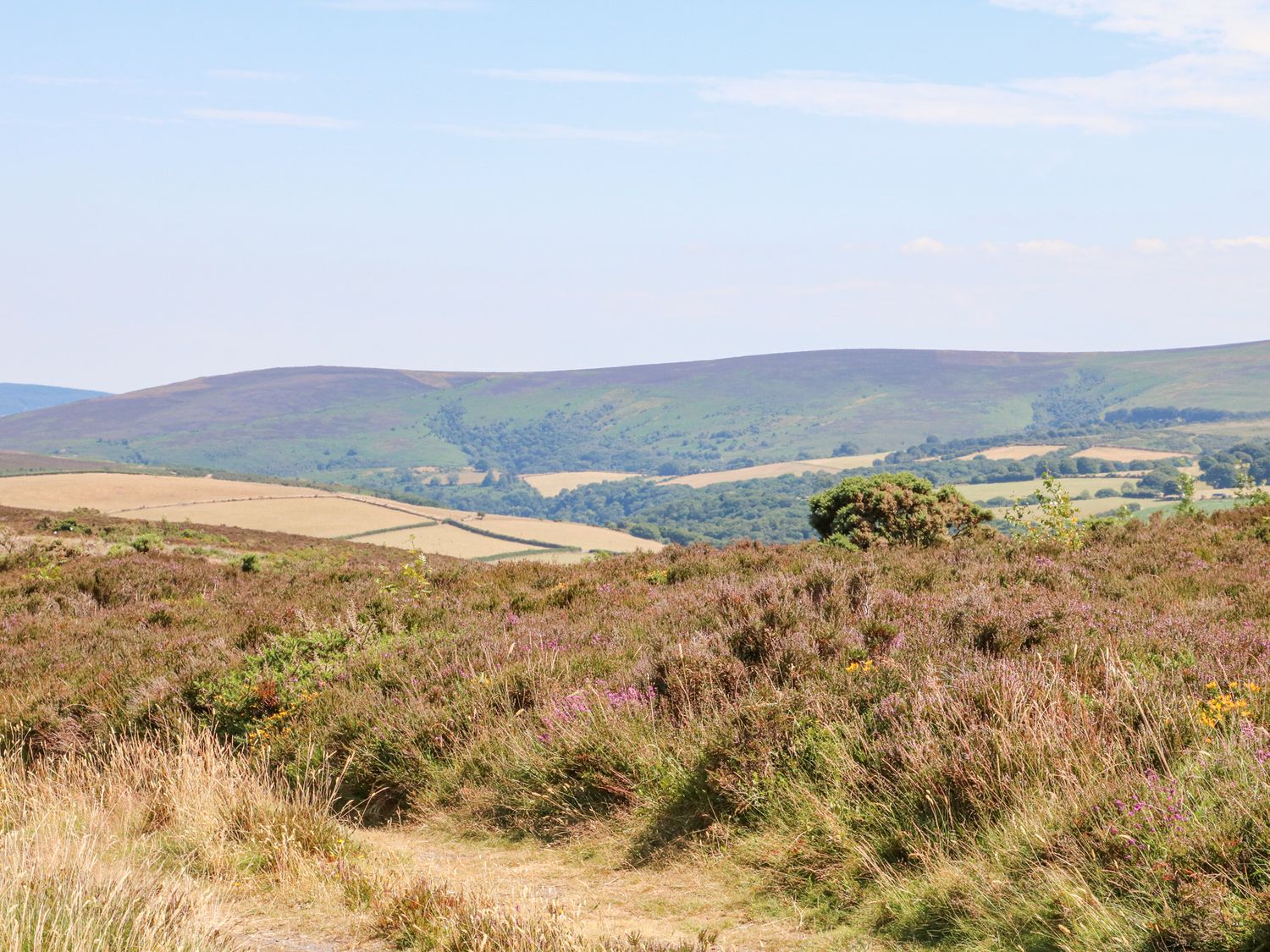 Greenslades                     photo 37
