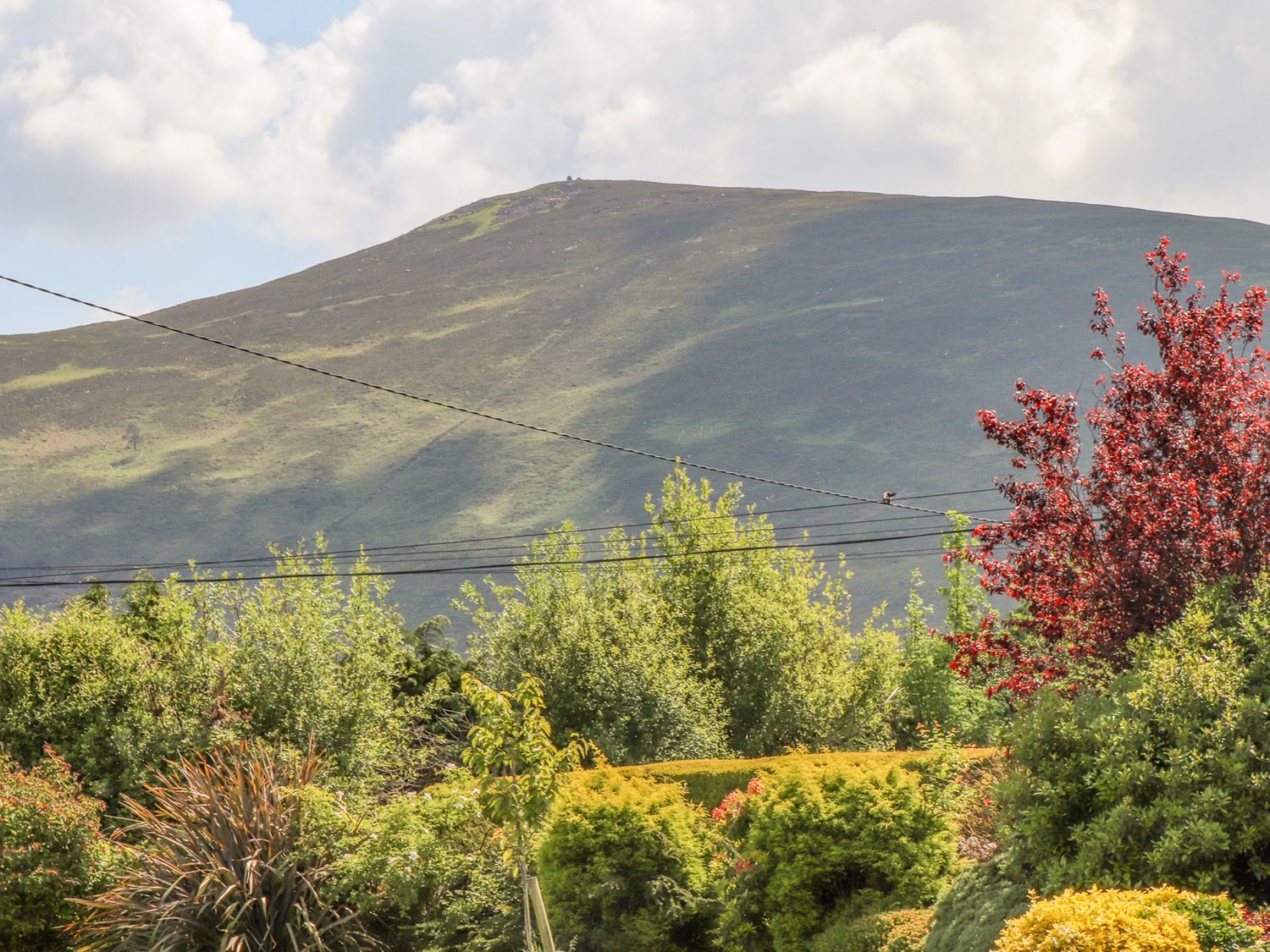 A view of a mountain with a cloudy sky behind diverse green and red trees and bushes at Fern View House in Beaufort near Killorglin County Kerry