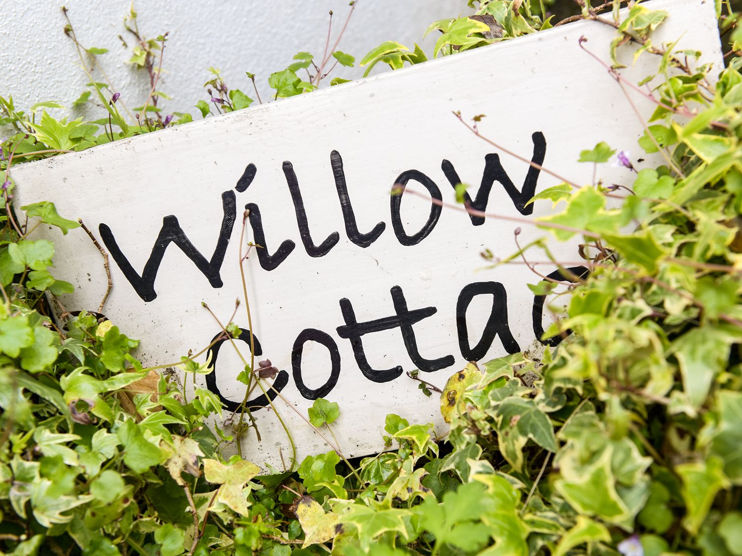 Willow Cottage                     photo 2