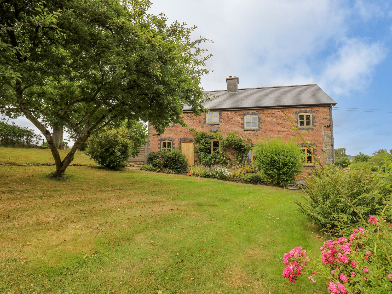 Byrdir Cottage                     photo 2