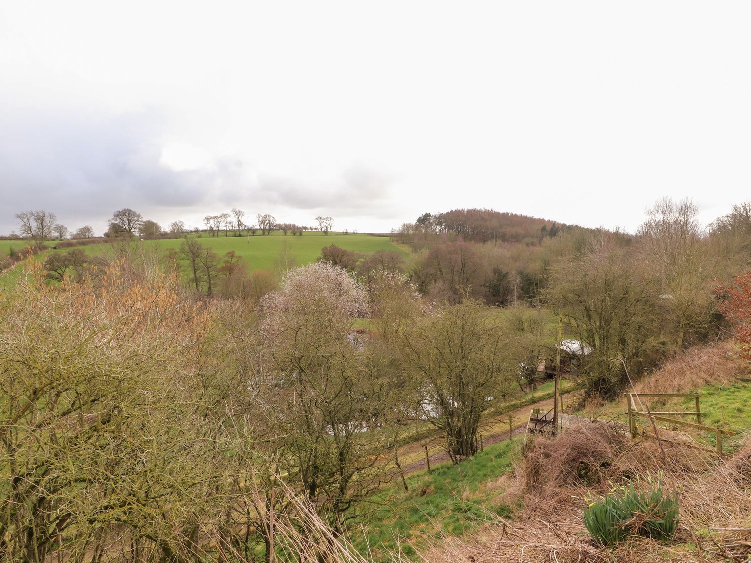 A rural landscape with trees, grassy fields, and a dirt road at Woodpecker in High Head Castle Farm Ive Valley near Penrith