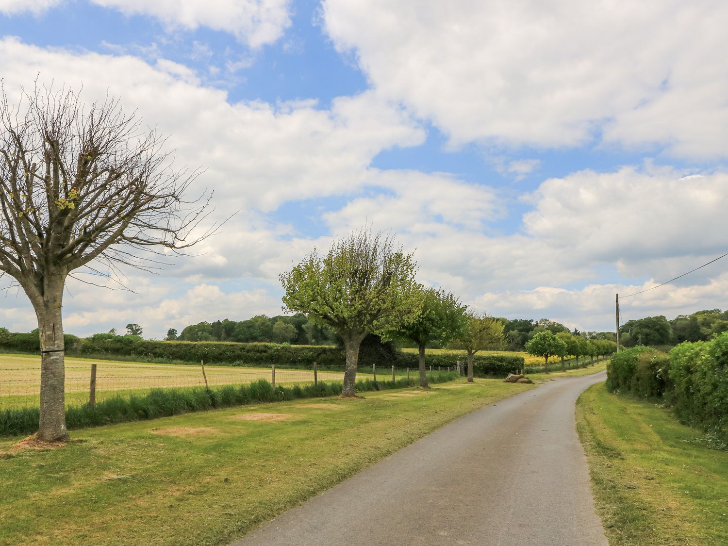 A country road lined with trees and grass fields at Shepherd's Barn Between Milborne St Andrew and Winterborne Whitechurch