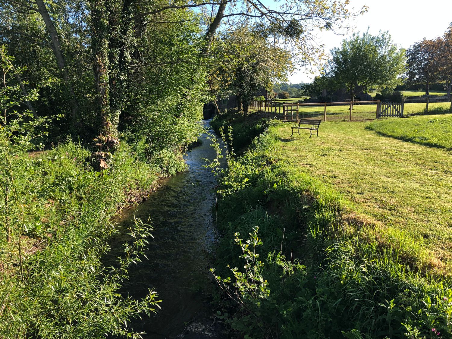 A narrow stream running between grass and trees near a wooden bench and fenced field at The Stable in Marstow near Ross-on-Wye