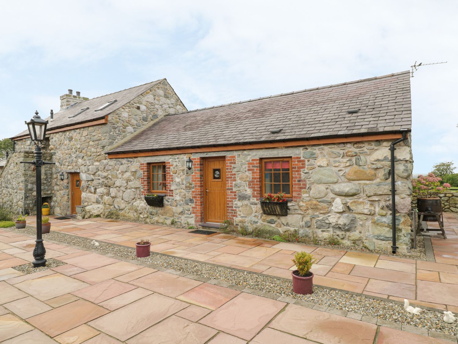 Daffodil Cottage - North Wales - 5741 - photo 1