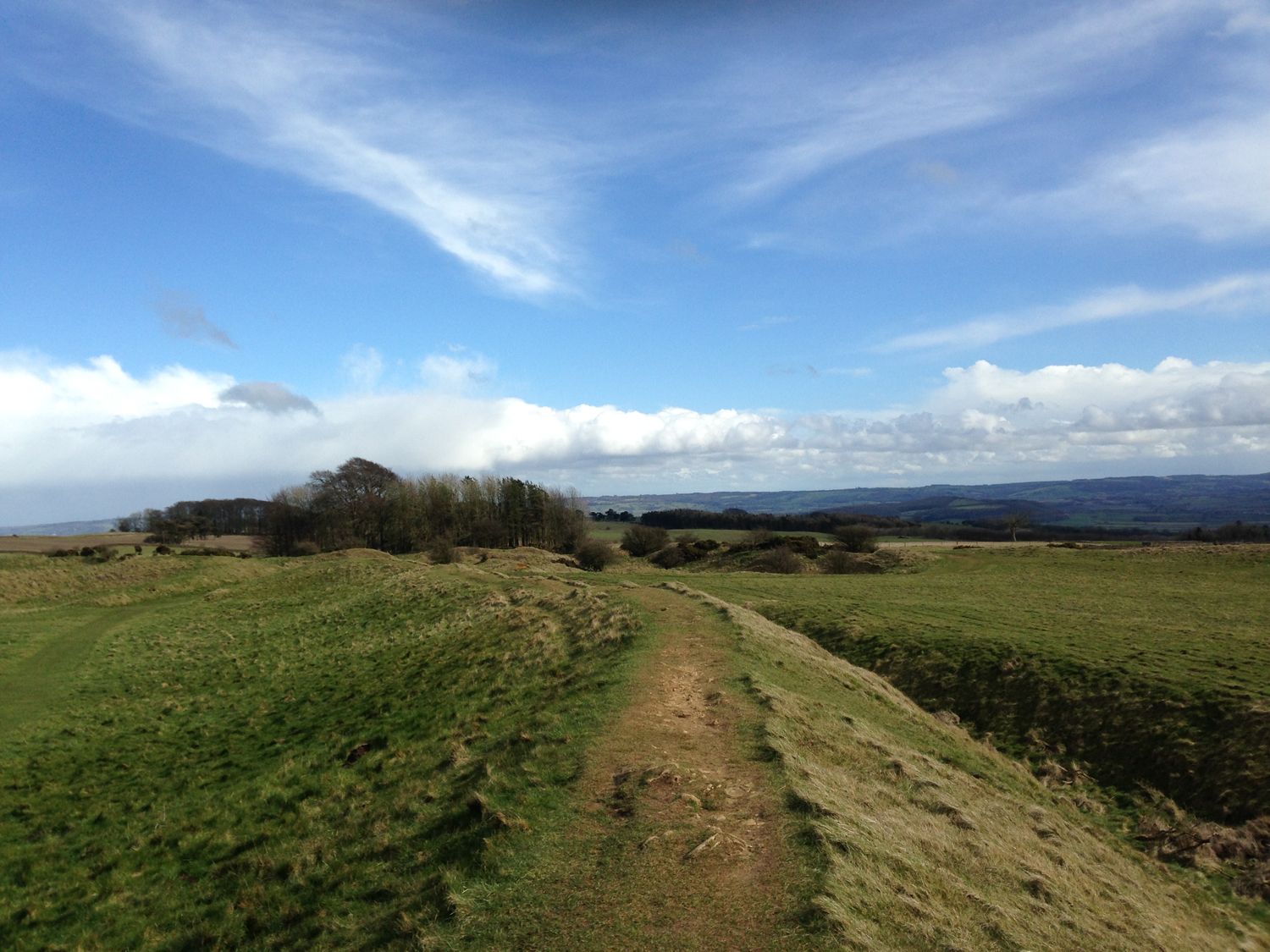 Island Yurt                     photo 22
