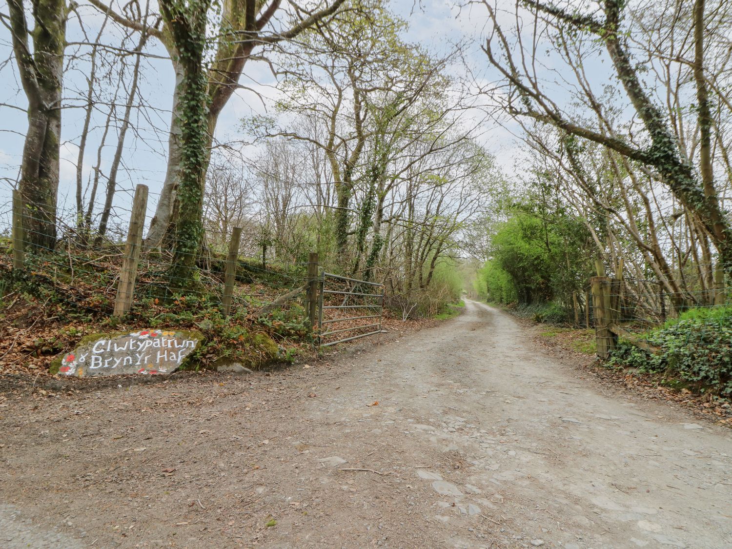 A dirt road lined with fenced trees and a metal gate and a rock painted with clwt y patrwn bryn yr haf near llanfair clydogau near lampeter