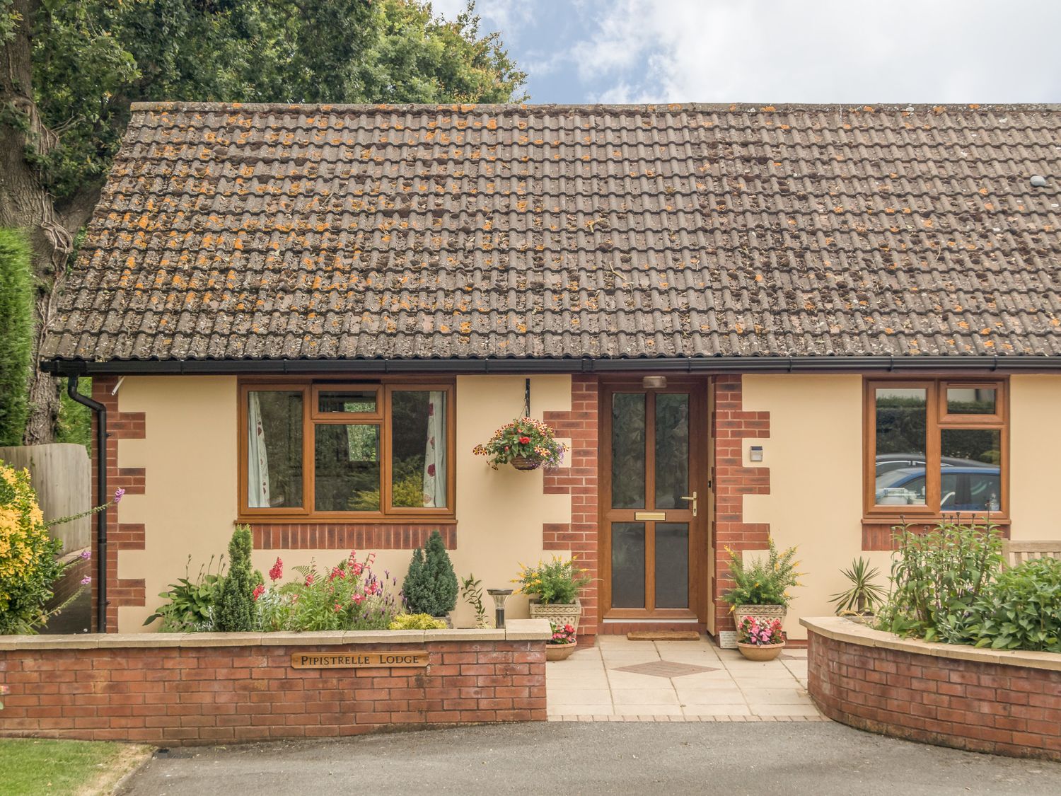 Pipistrelle Lodge                     photo 2