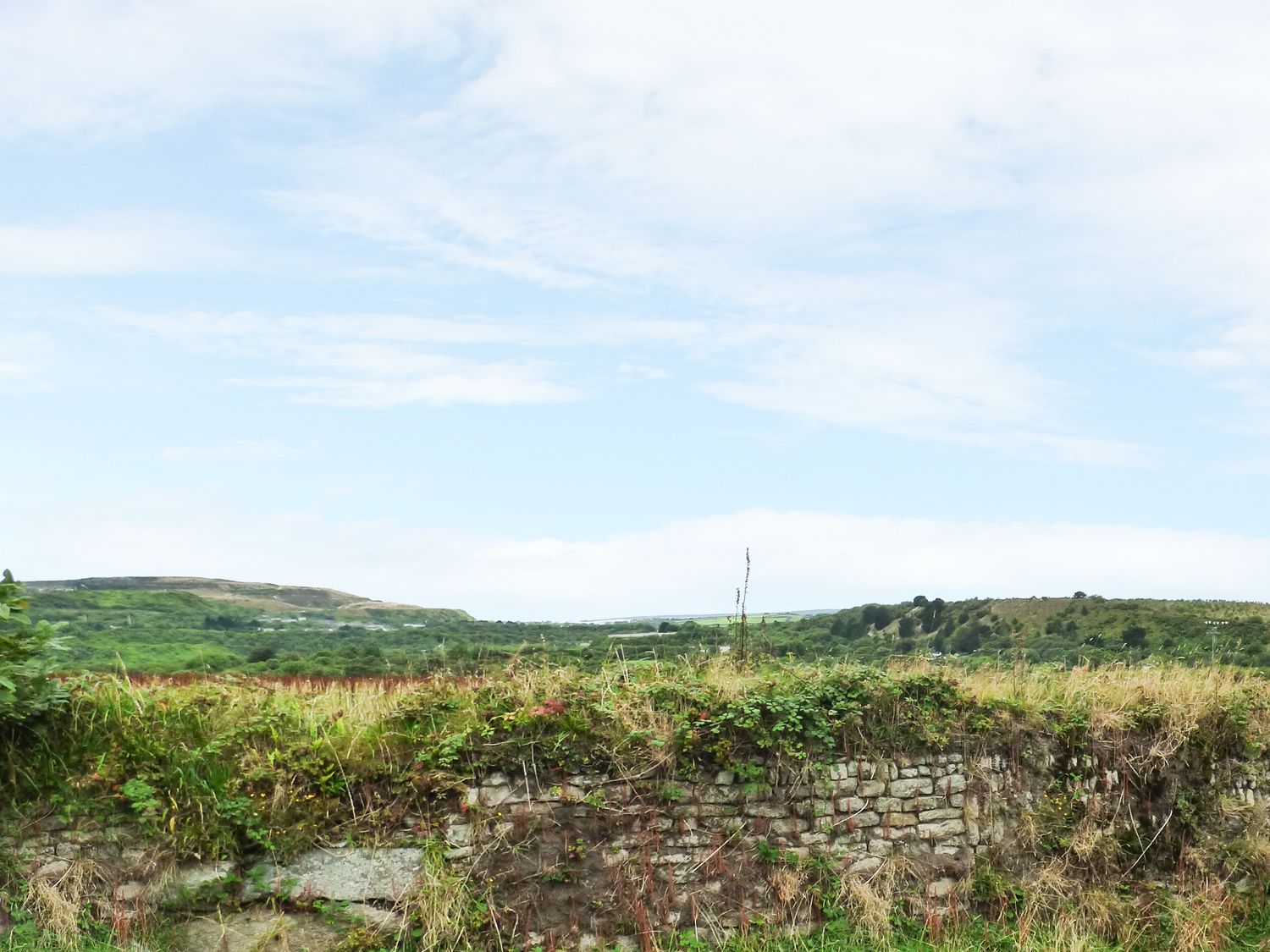 The Annexe, Laburnum photo 15