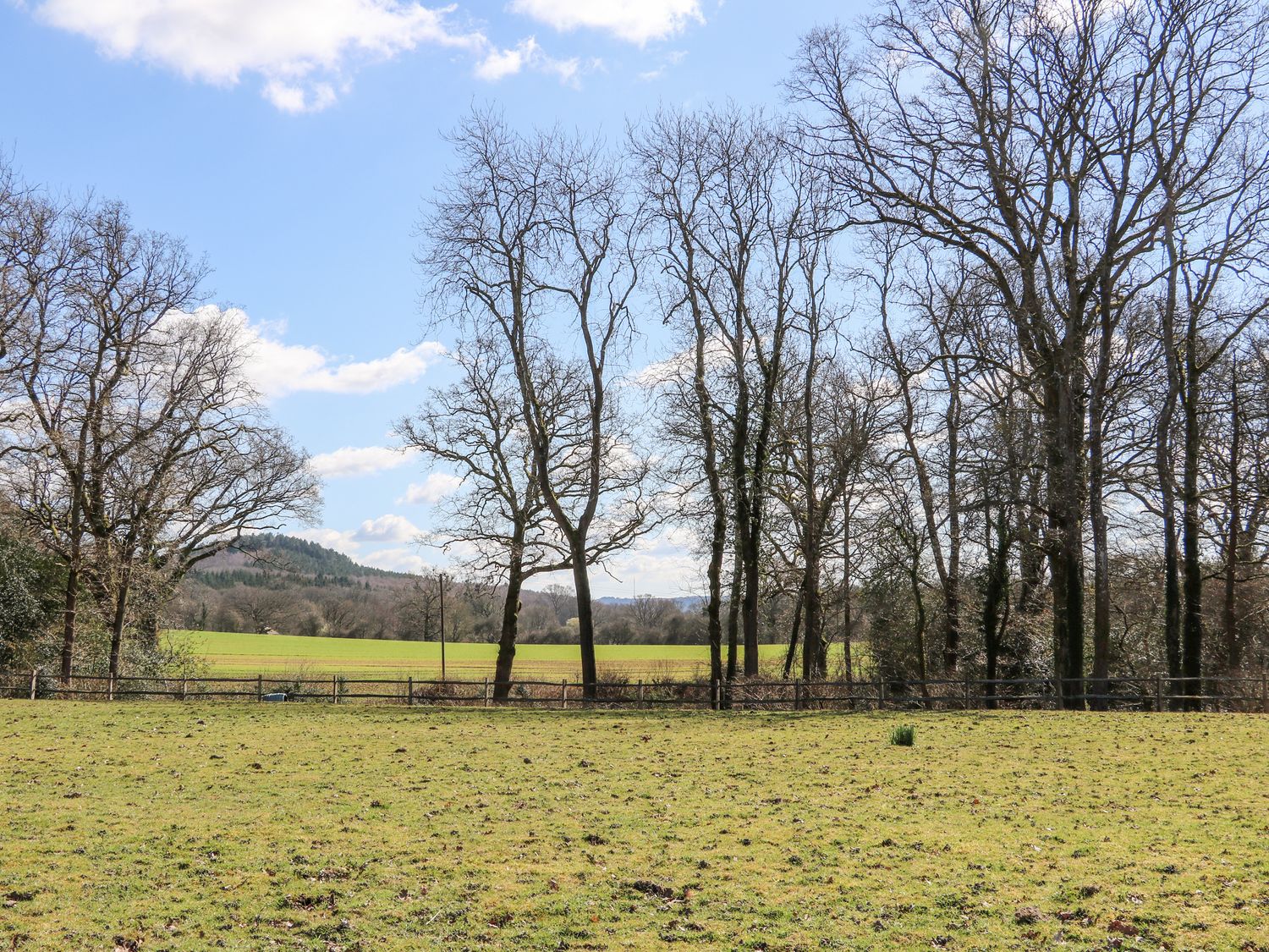 A grassy field with bare trees and a wooden fence under a blue sky at Woodmancote Lodge in Linchmere near Haslemere