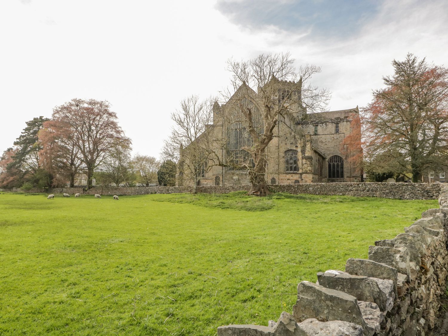 Cartmel Lodge photo 40