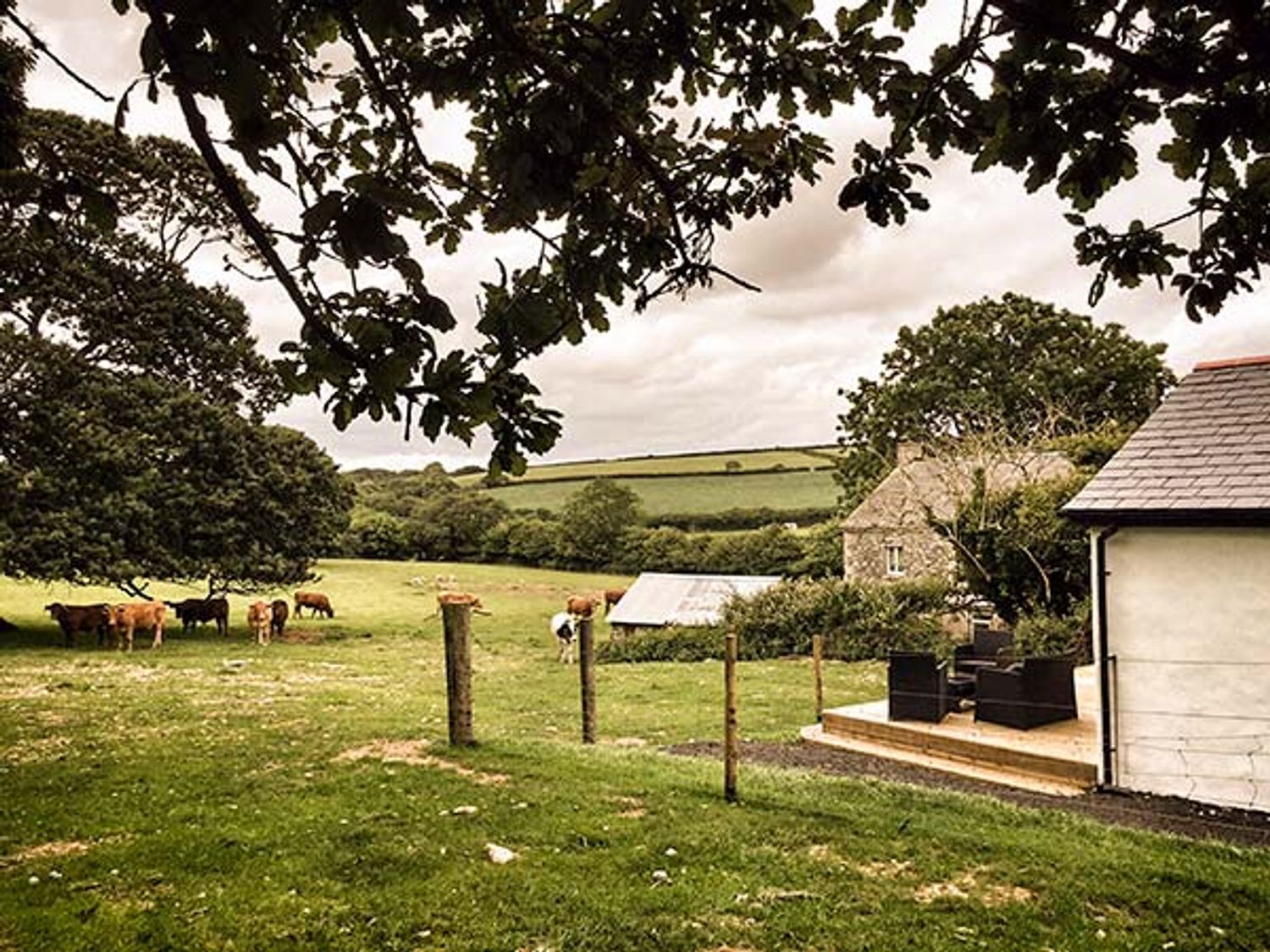 Vine Cottage                     photo 16