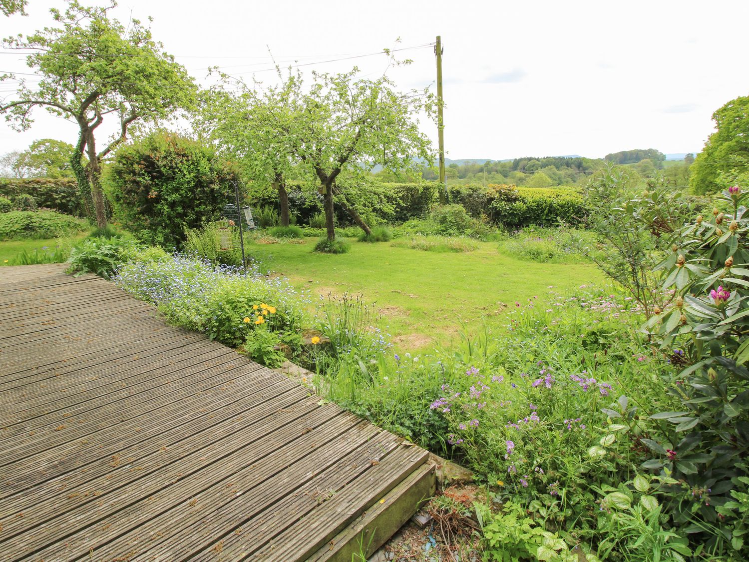 A garden with a wooden deck and various plants and trees at Hill Brow in Hatton near Church Stretton