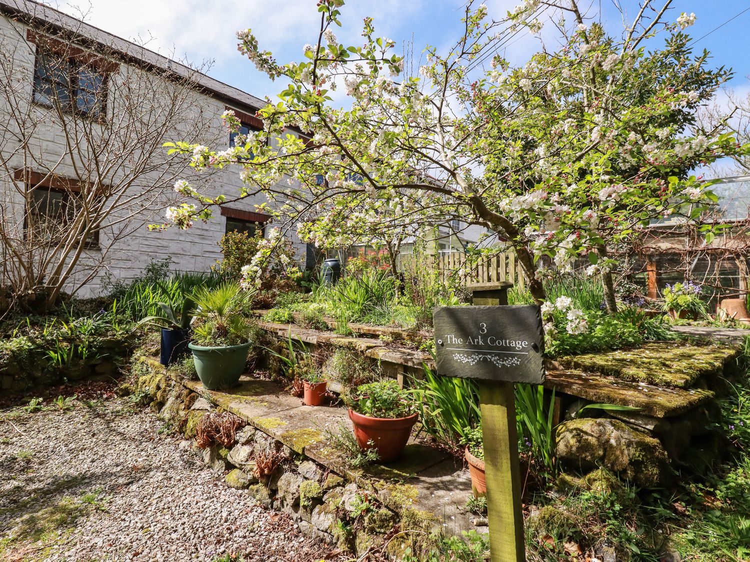 A garden with potted plants and a blossoming tree near a stone pathway and a white house at The Ark Cottage in St Blazey