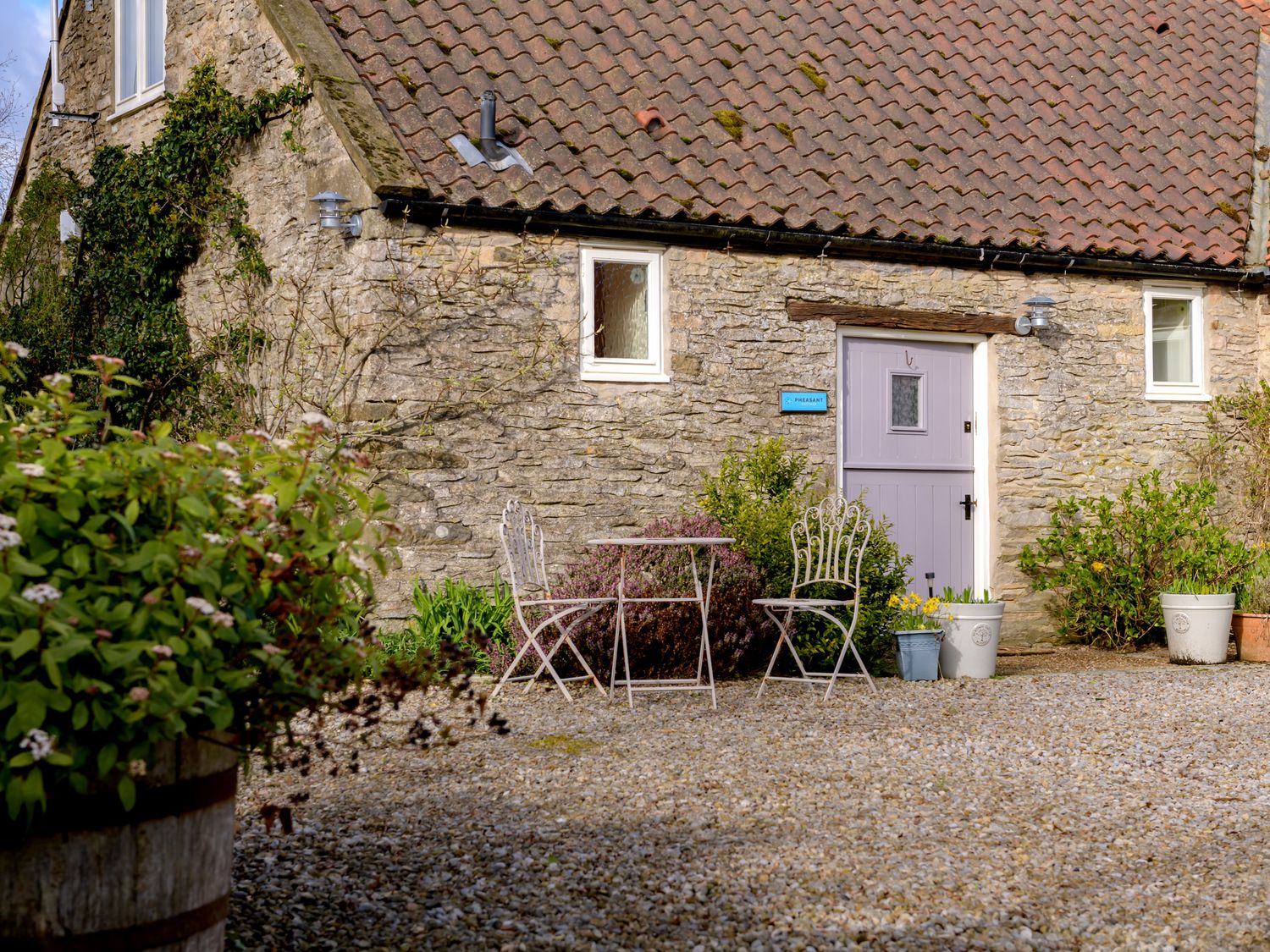 Pheasant Cottage - North Yorkshire (incl. Whitby) - 929317 - photo 1