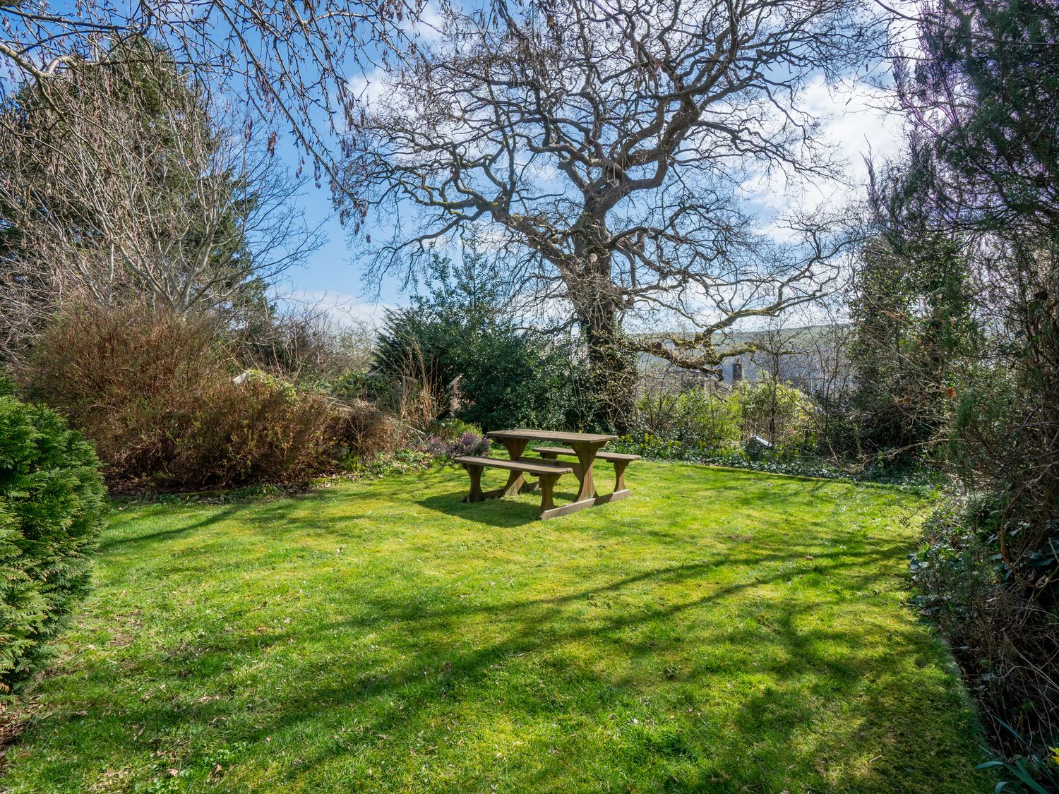 Trederwen                     photo 36