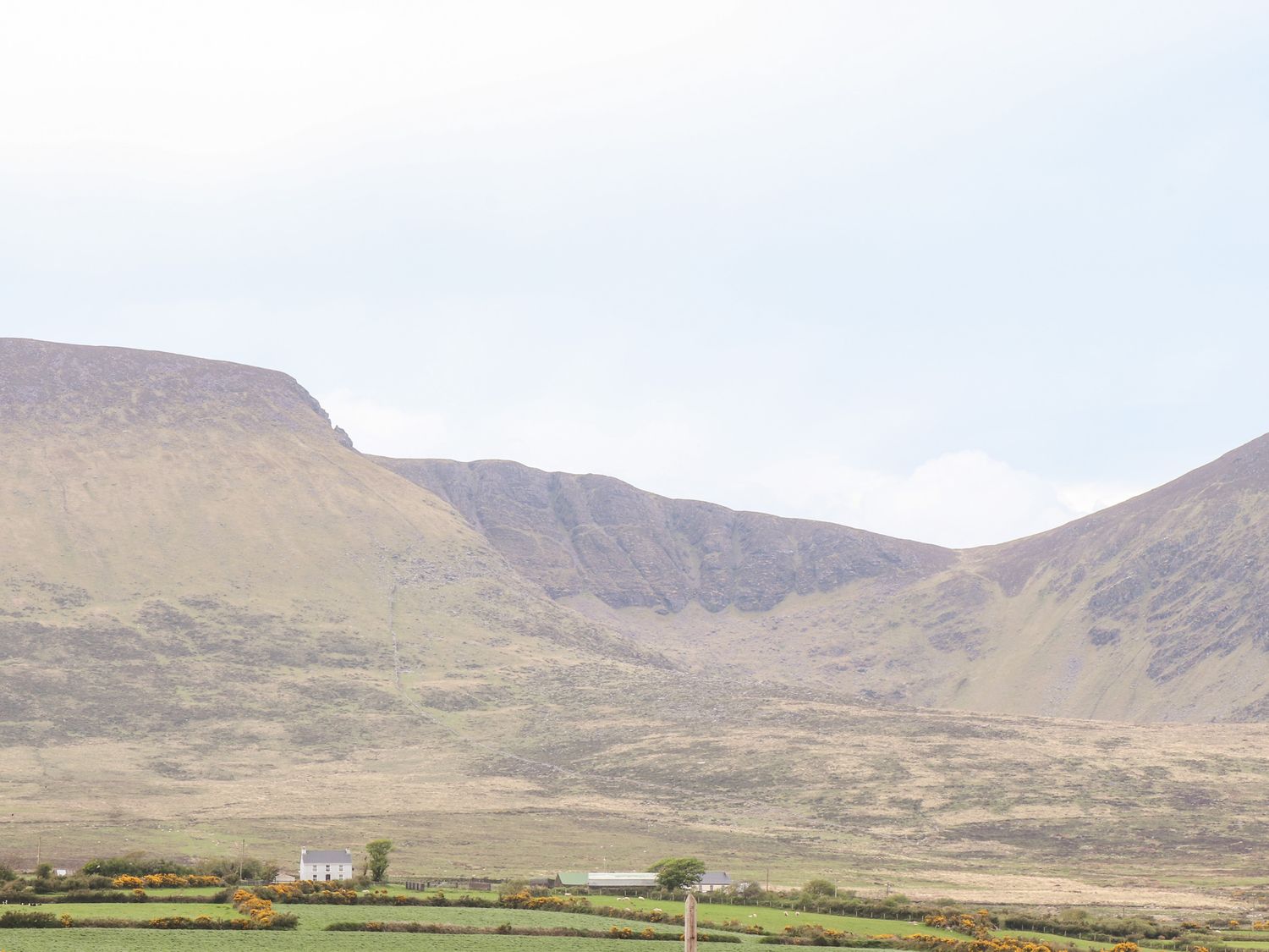 A rural landscape with grassy fields and houses at the base of a large mountain at Number 7 in Lispole County Kerry