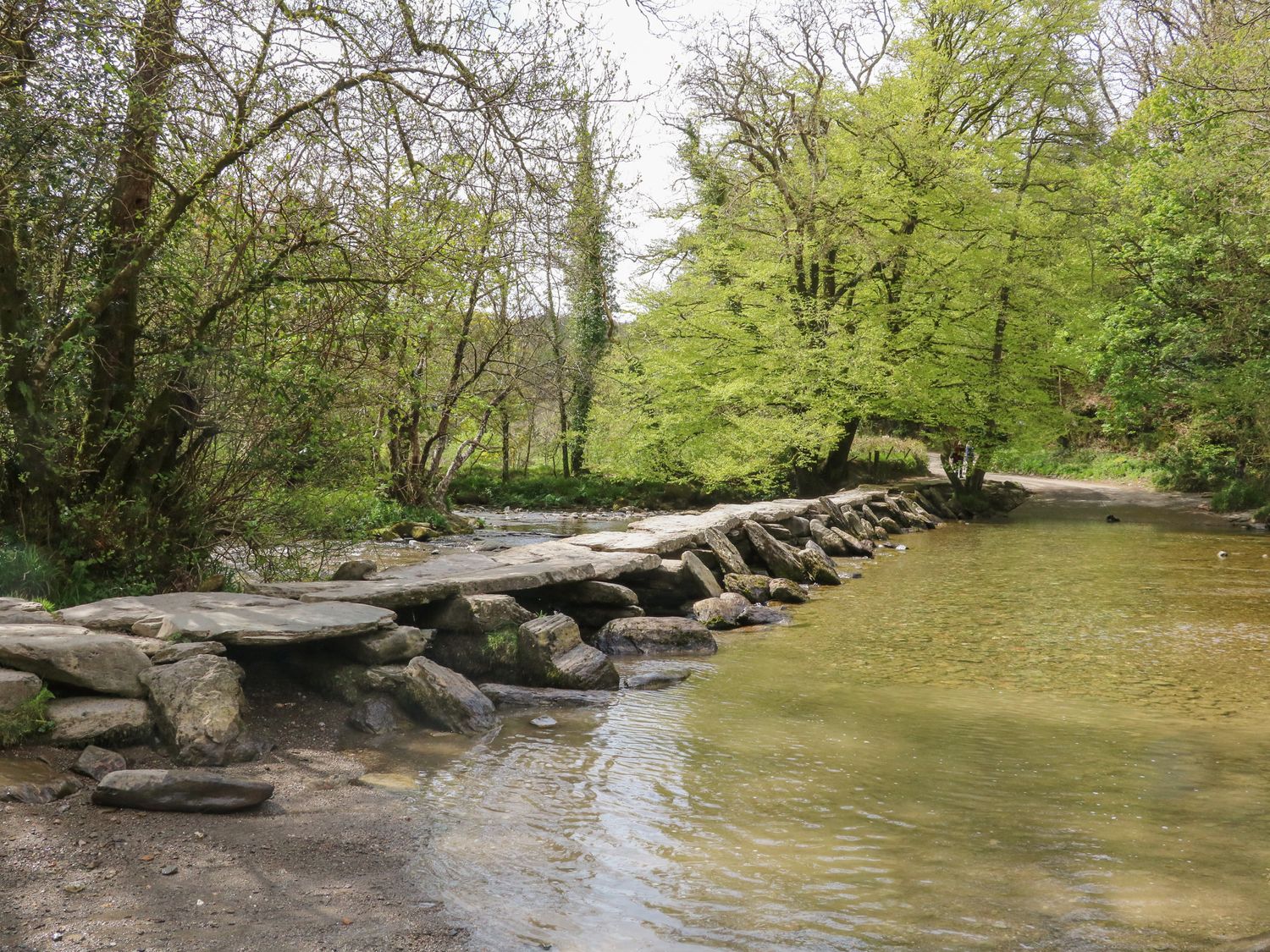 A stone stepping path across a shallow river surrounded by trees at Jacks Nest in Ash Mill near South Molton