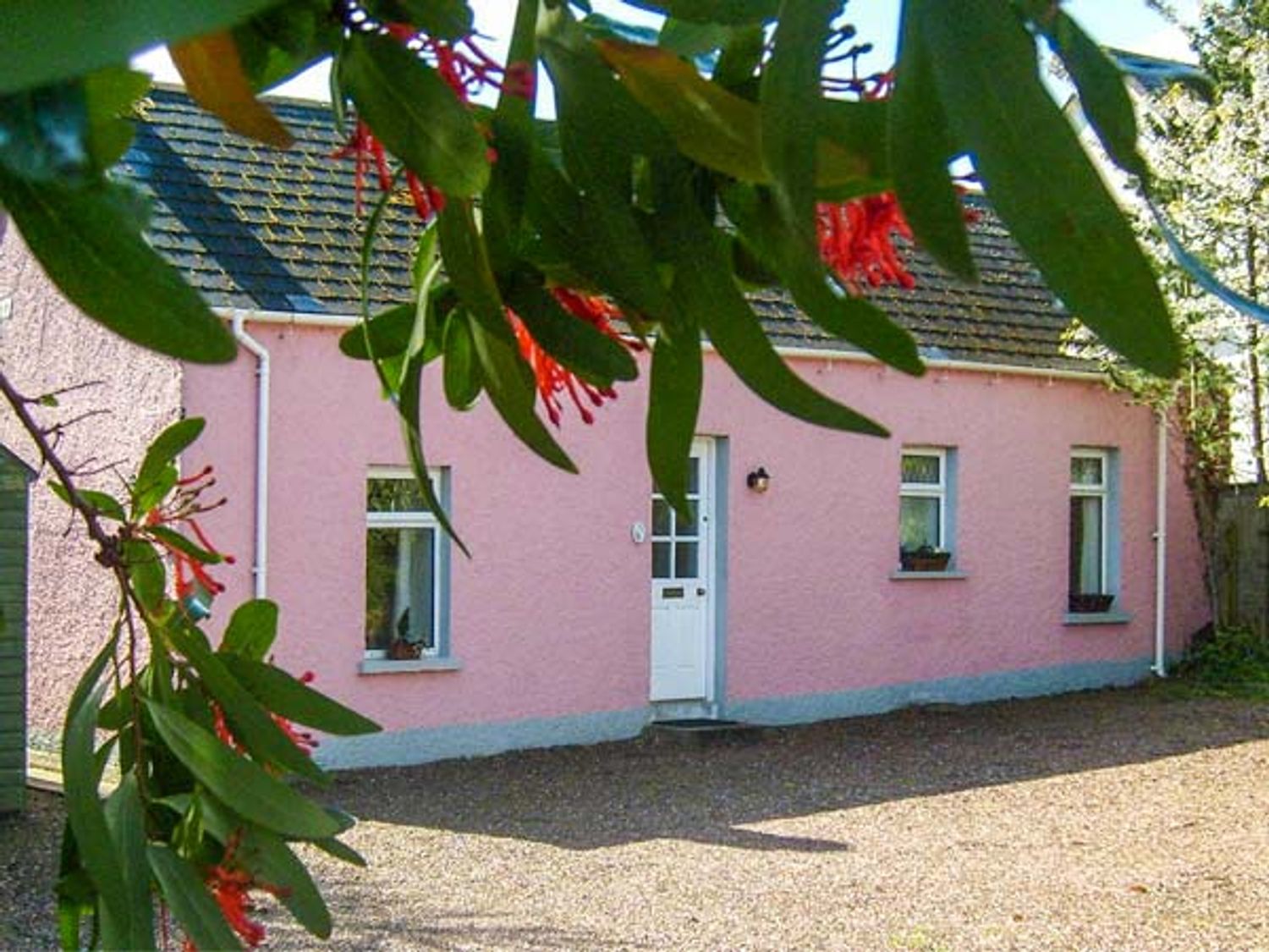 Hallmount Cottage - Antrim - 937120 - photo 1