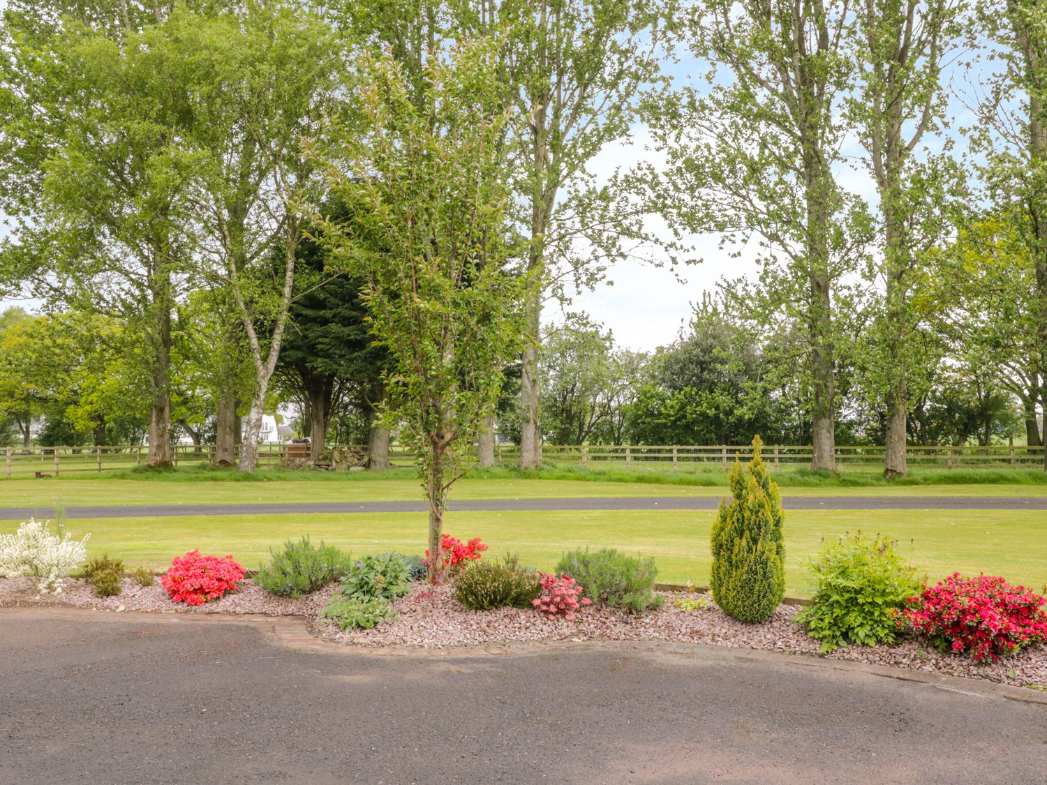 A garden bed with various shrubs and flowers next to a paved area with trees and grass in the background at Berrymoor Cottage in Corby Hill
