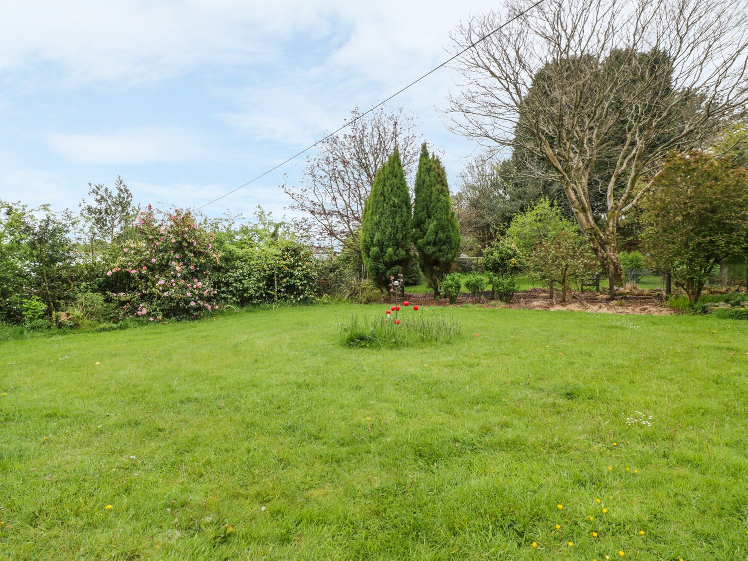 Longview Cottage                     photo 19