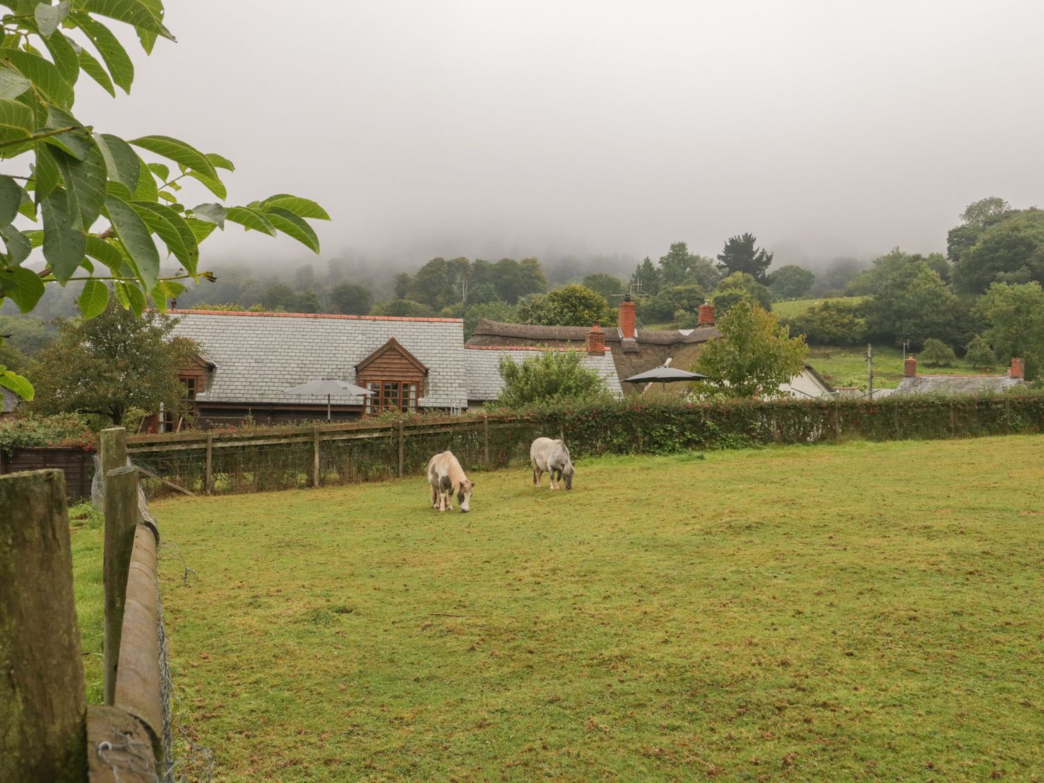 Flora's Barn                     photo 44
