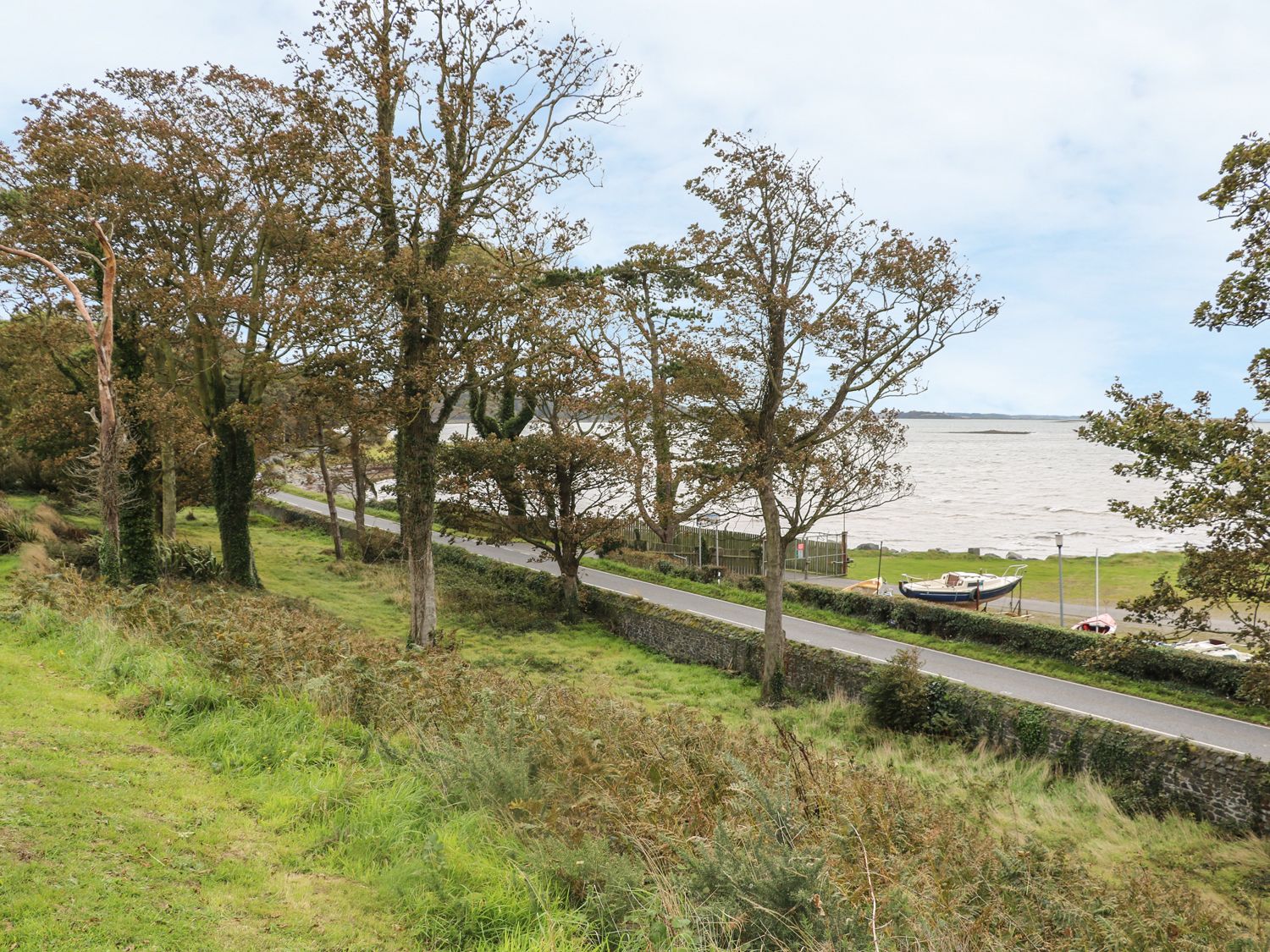 The Hide photo 24