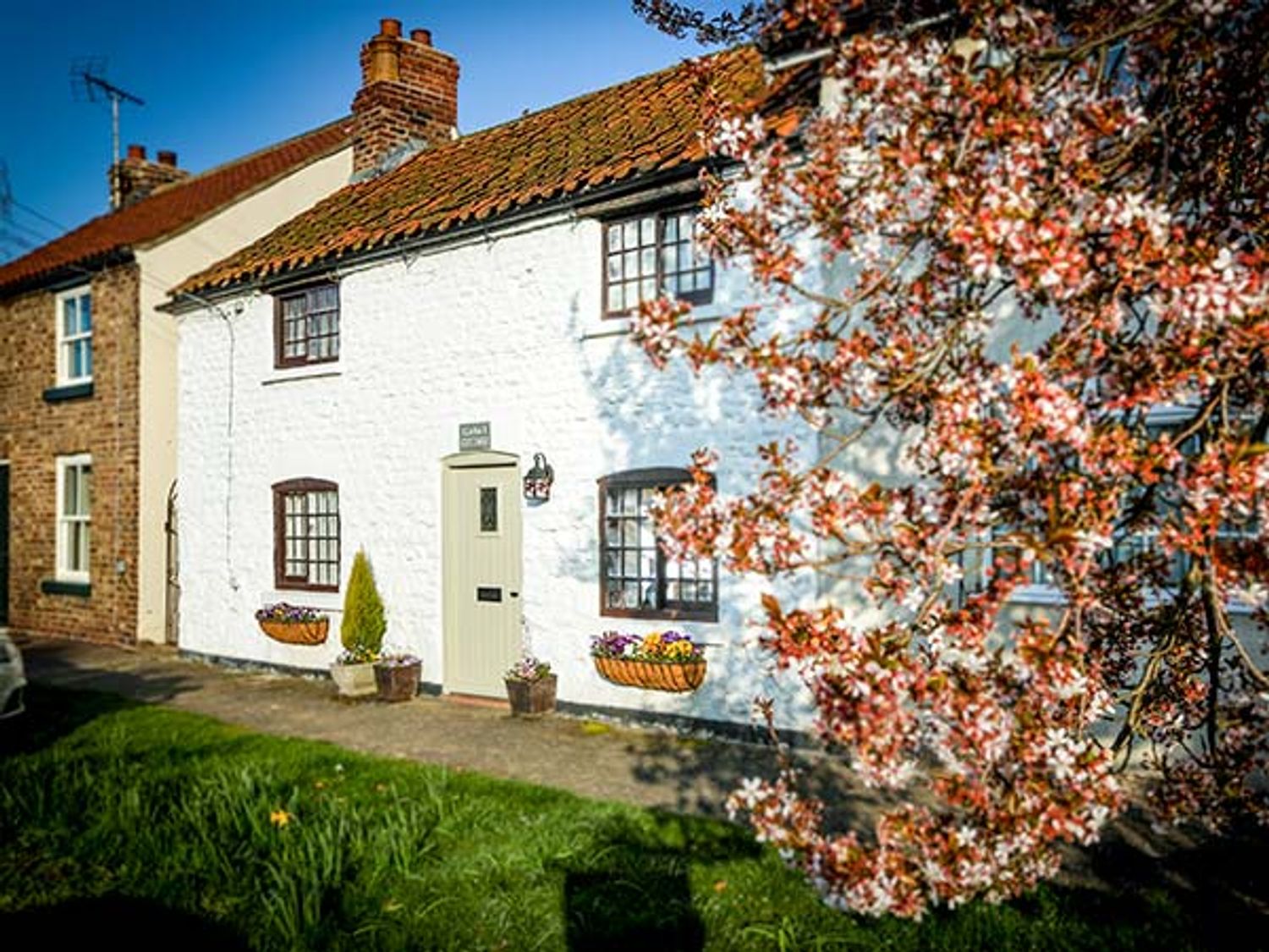 Clara's Cottage - North Yorkshire (incl. Whitby) - 950877 - photo 1