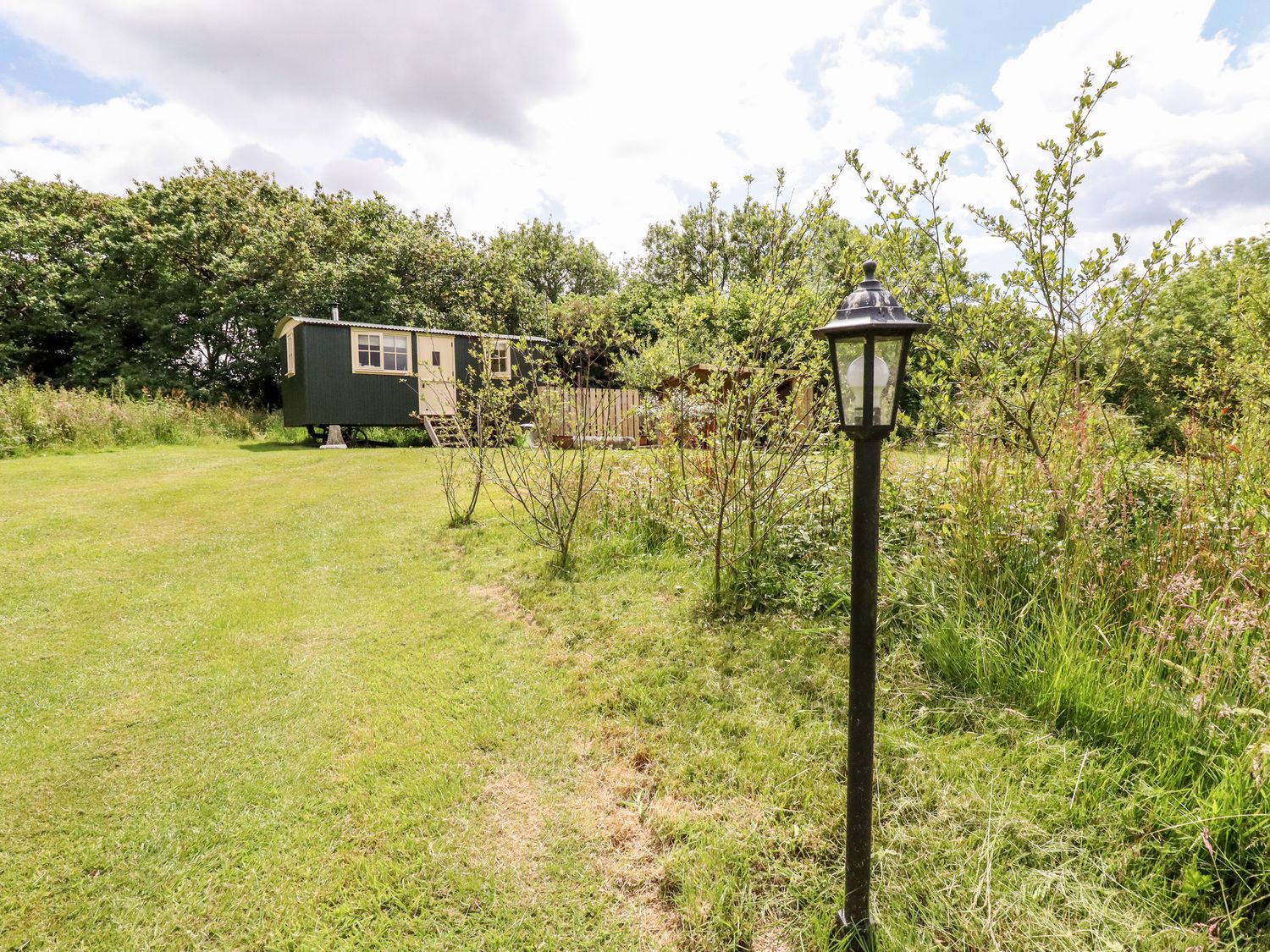 A grassy outdoor area with a small dark green cabin surrounded by trees and bushes at Willow Burlawn near Wadebridge