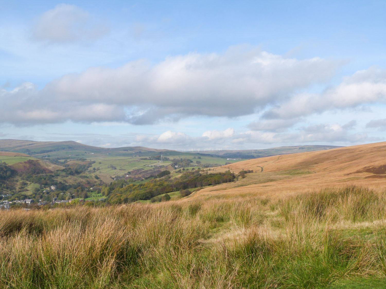 A wide landscape of fields and hills with tall grass under a partly cloudy sky at Apartment 24 in Keighley