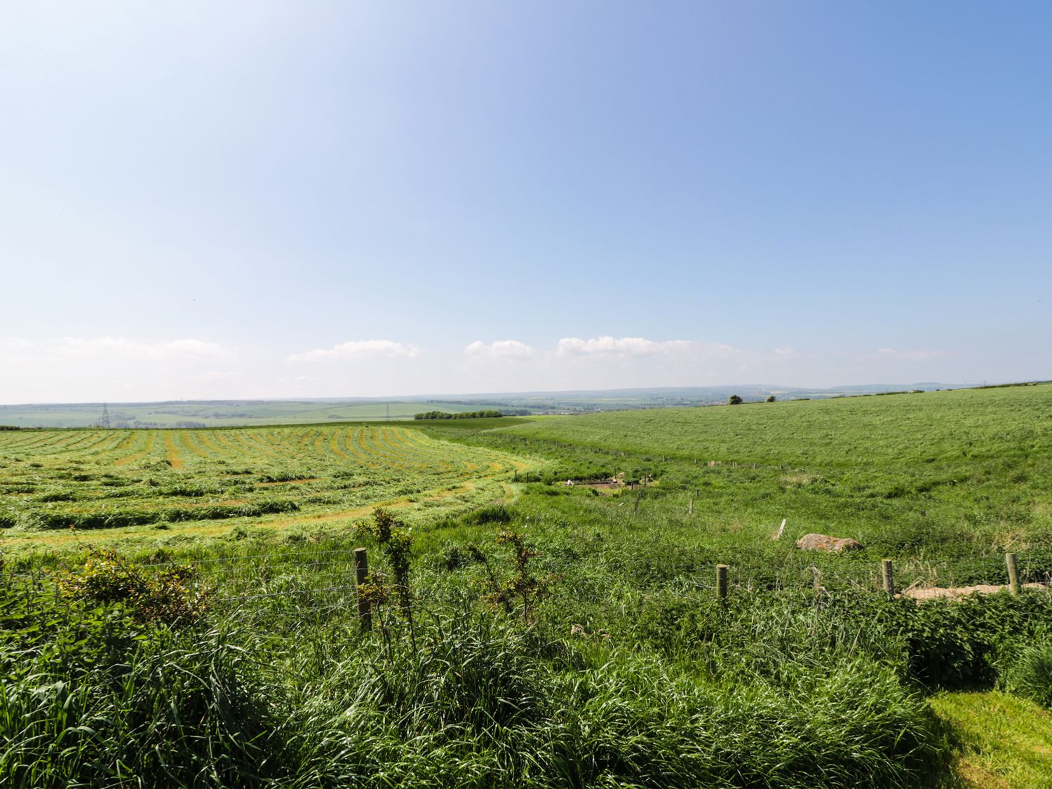 Green fields with rows of cut grass under a clear sky at Field Cottage in Staithes