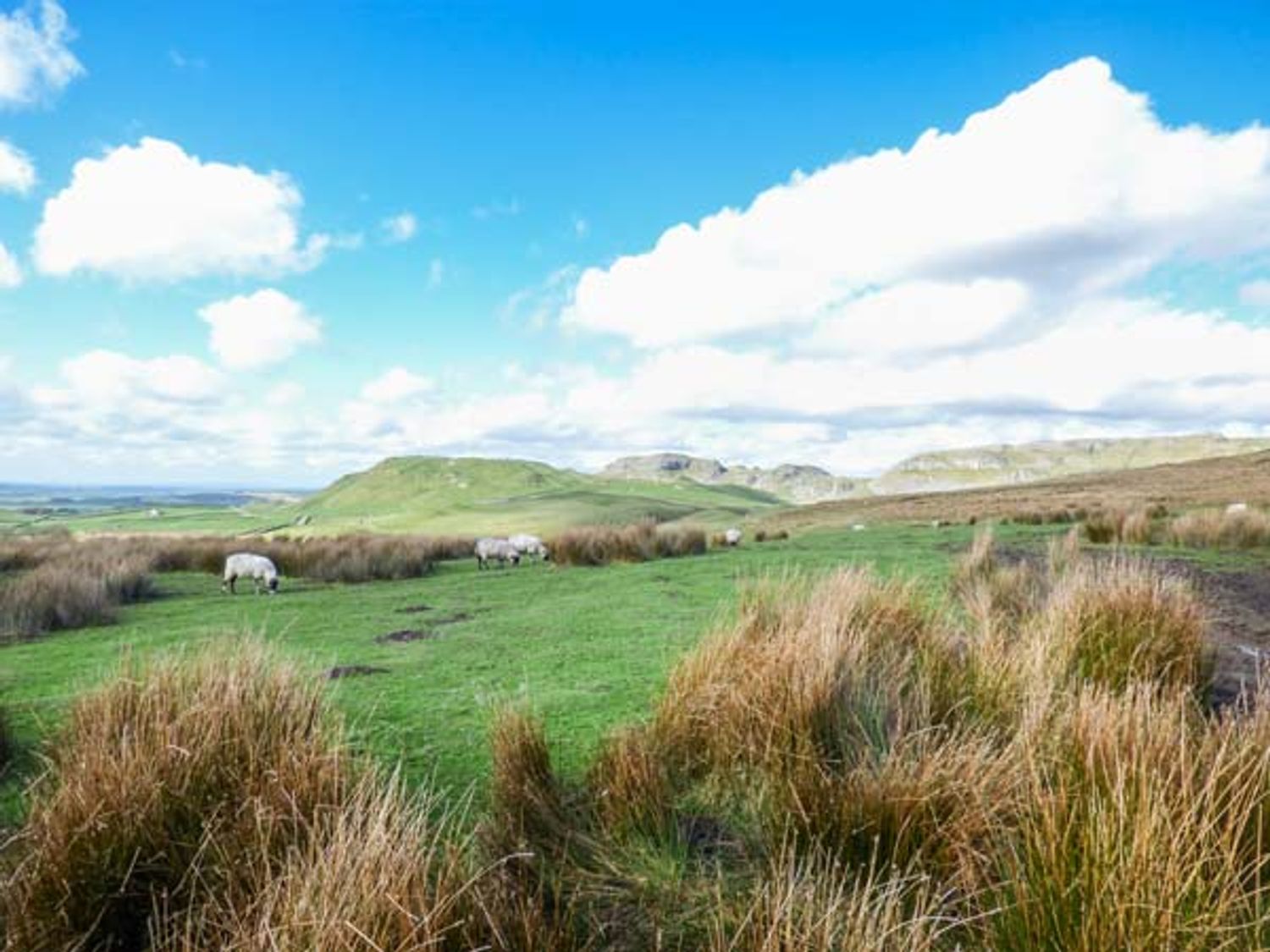 A grassy field with sheep grazing and hills in the background under a partly cloudy sky at Orchard Cottage in Lothersdale near Skipton