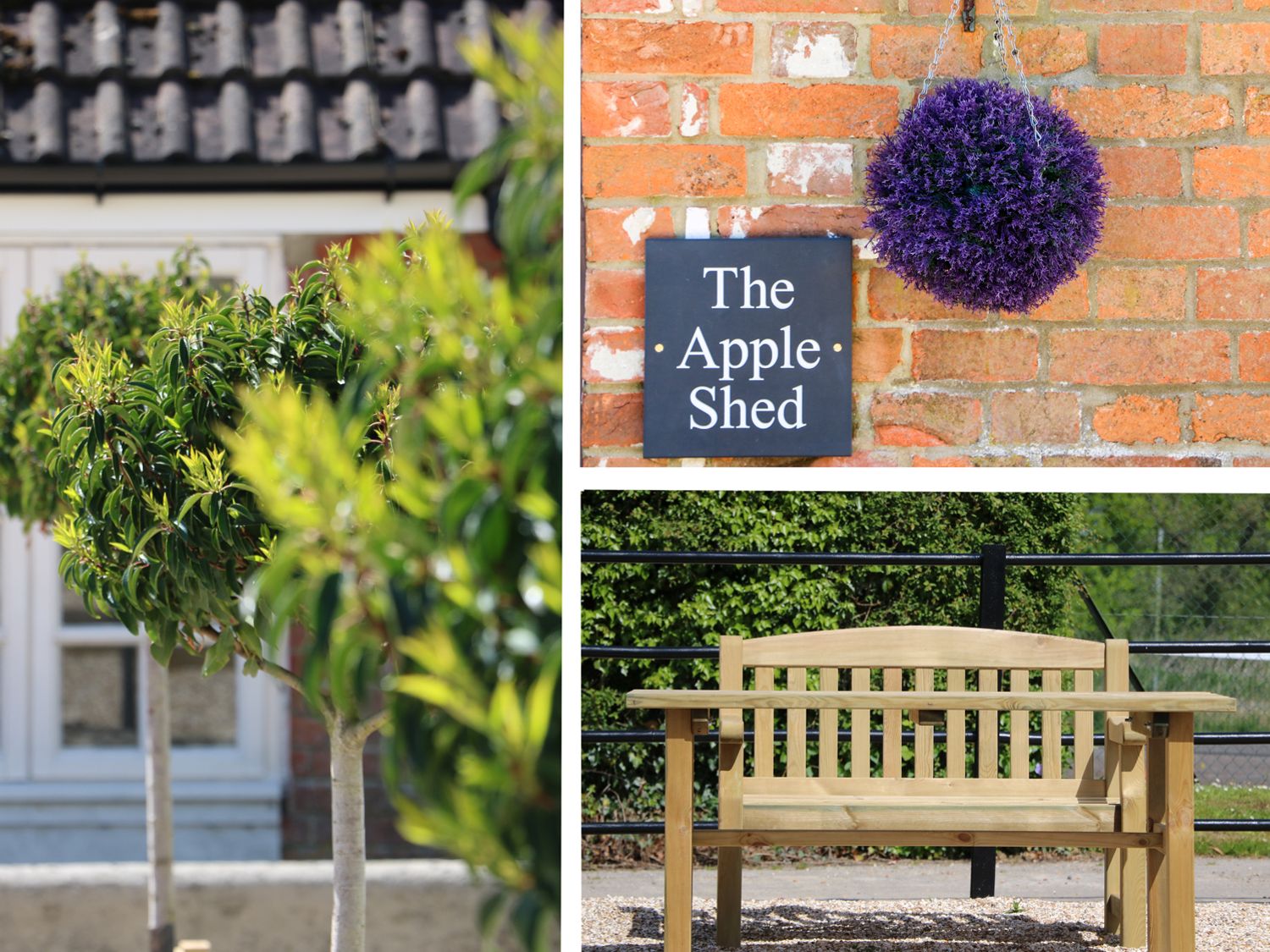 The Apple Shed, Motcombe, Shaftesbury                     photo 2