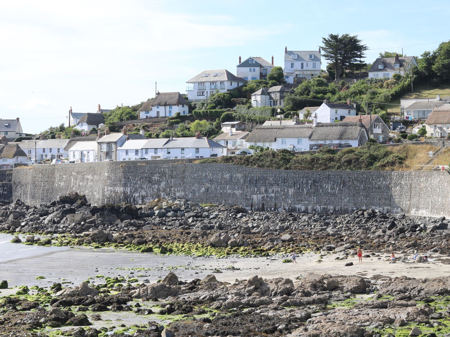 Wide Horizons                     photo 28