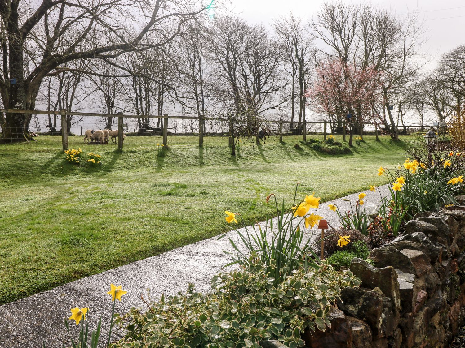 The Barn at Harrolds Farm photo 33