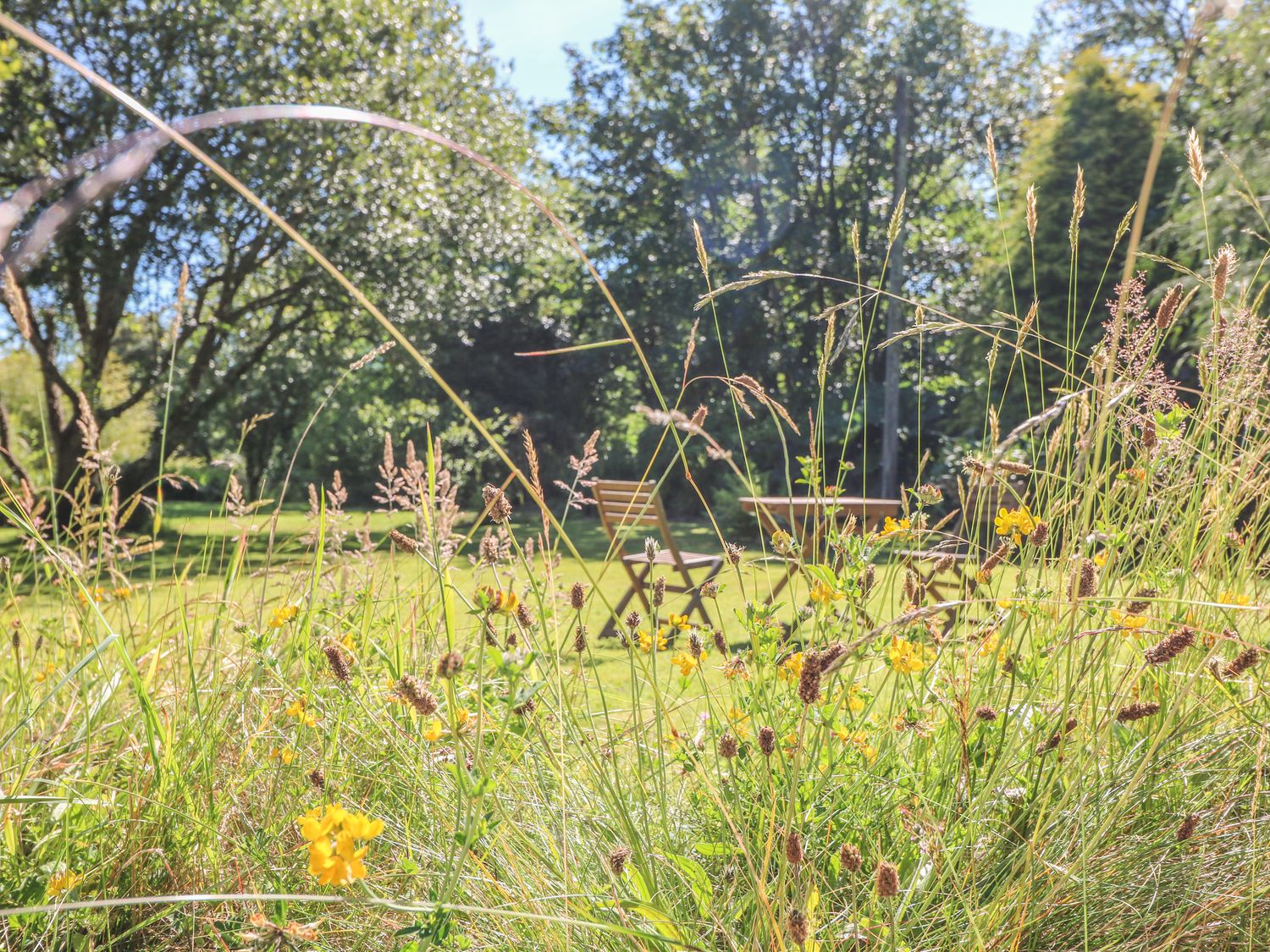 Pond Cottage                     photo 24