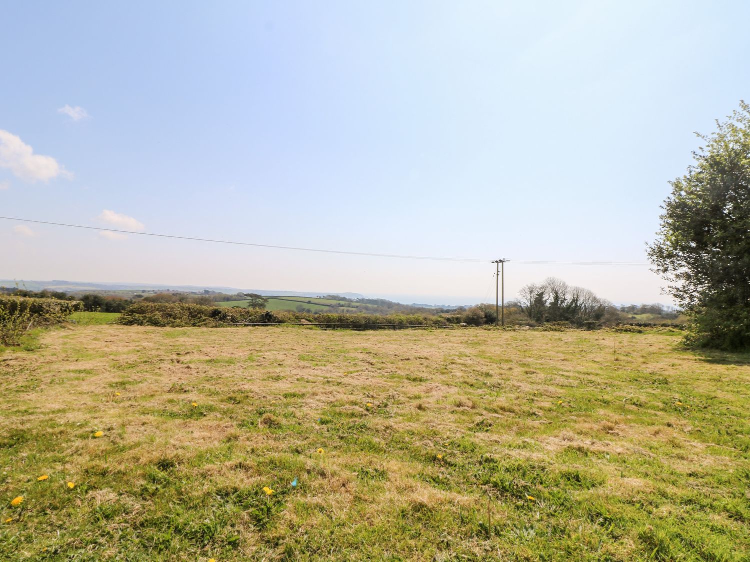 An open grassy field with bushes and trees under a clear sky