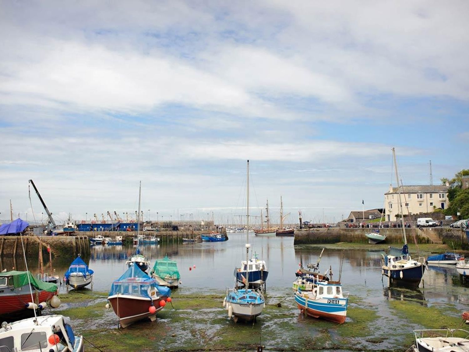 Blue Horizon                     photo 25