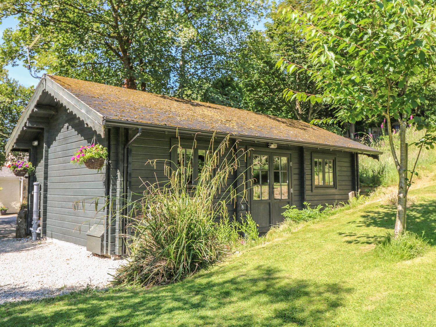 A single story cabin with a sloped roof surrounded by grass and trees at Pond Cabin in Stithians