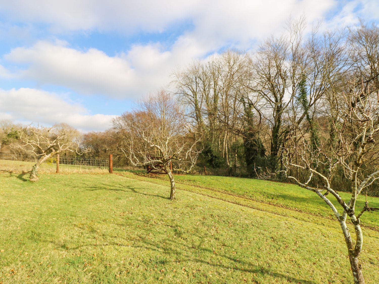 A grassy field with leafless trees near a wire fence and a wooded area in the background at Woodfield Coach House in Merrymeet