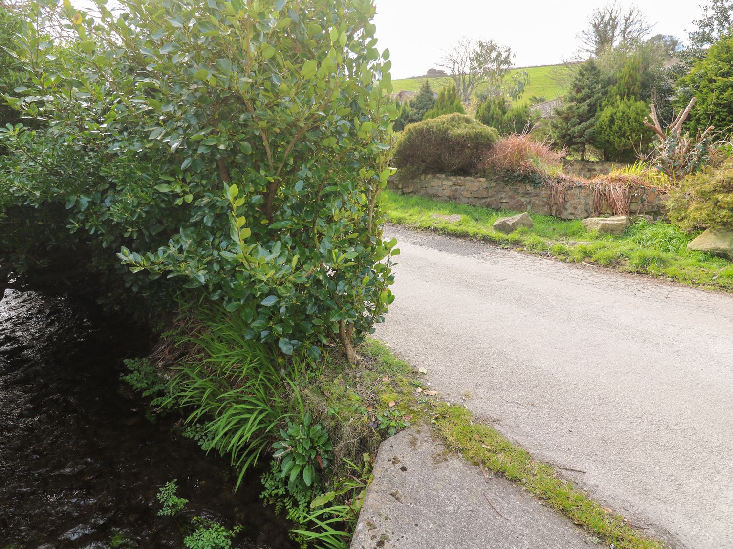 A narrow road beside a small stream with bushes and trees at Anneth Lowen in Angarrack near Hayle
