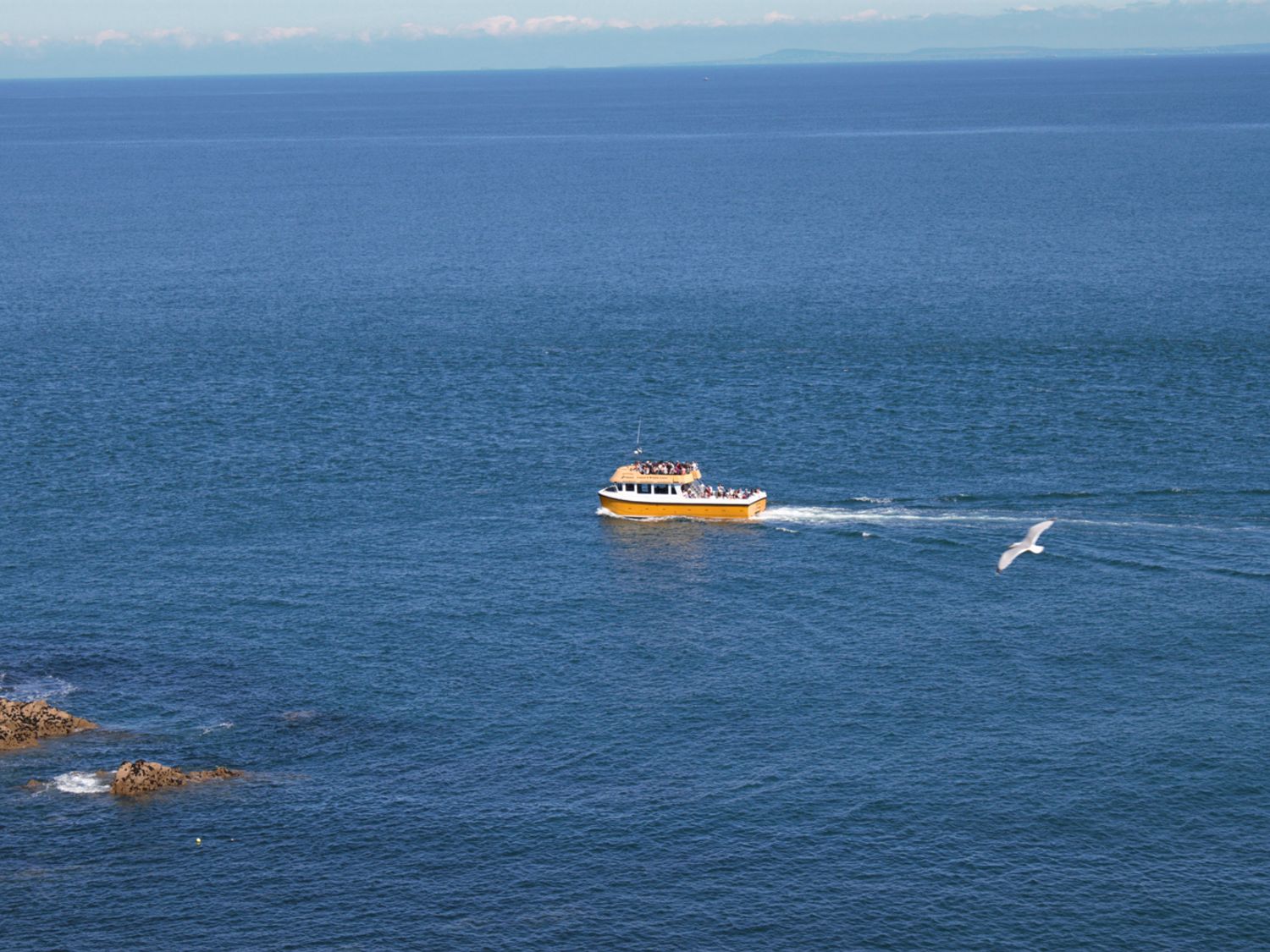 Ocean Breeze                     photo 17