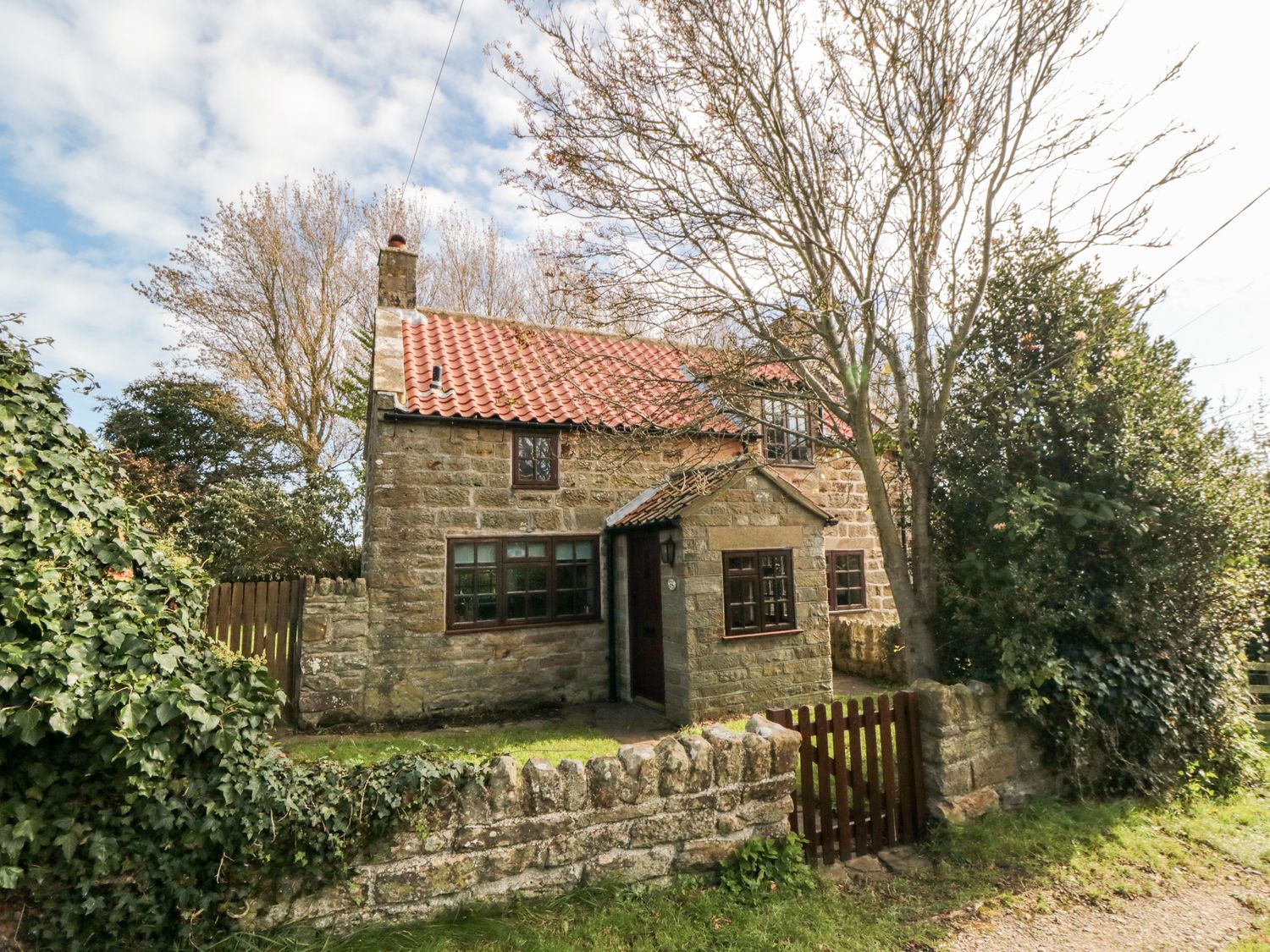 Holly Cottage - North Yorkshire (incl. Whitby) - 960331 - photo 1