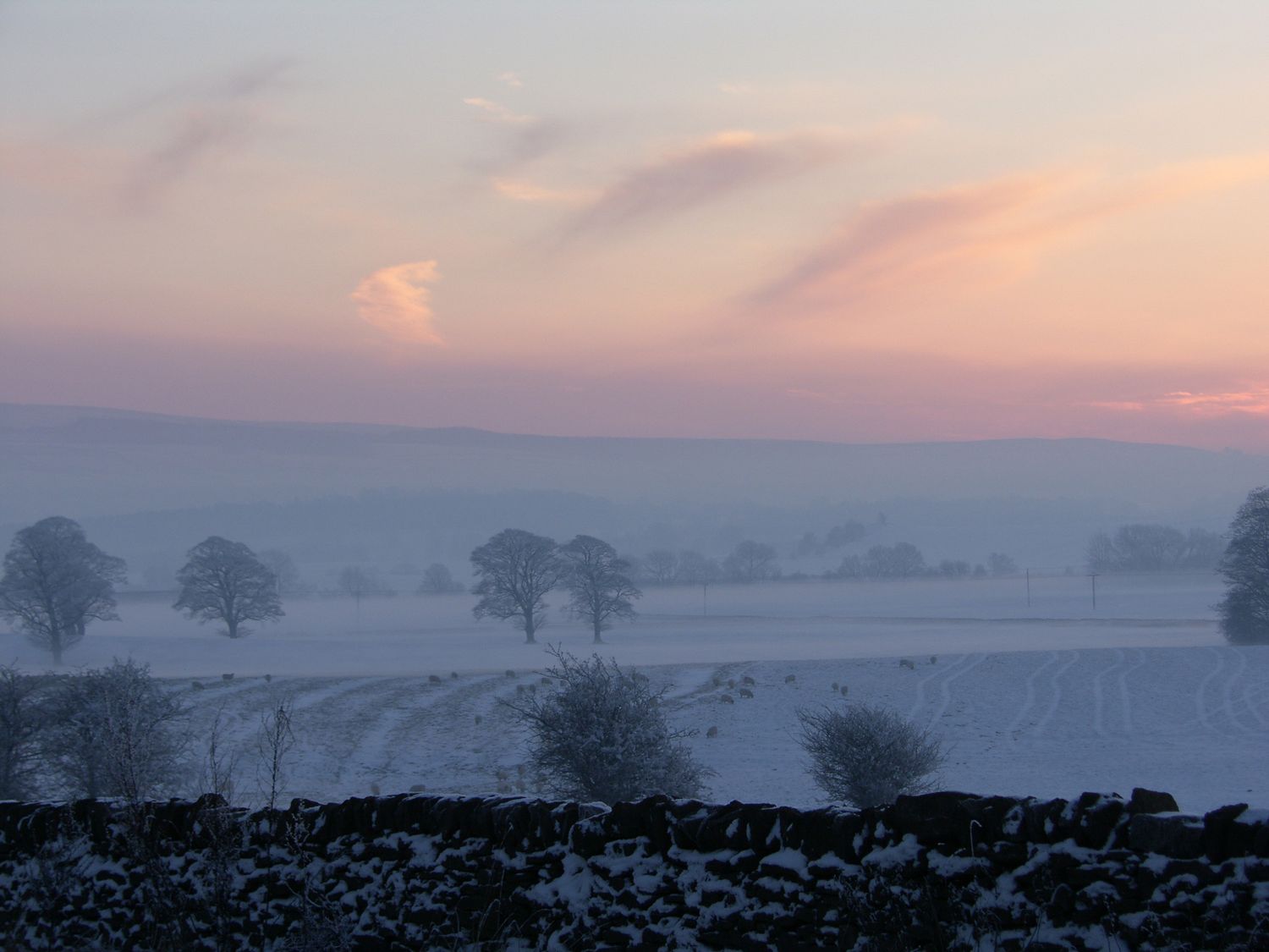 A snow-covered field with scattered trees and a stone wall under a sunrise sky at Crane Field Laithe in Otterburn North Yorkshire