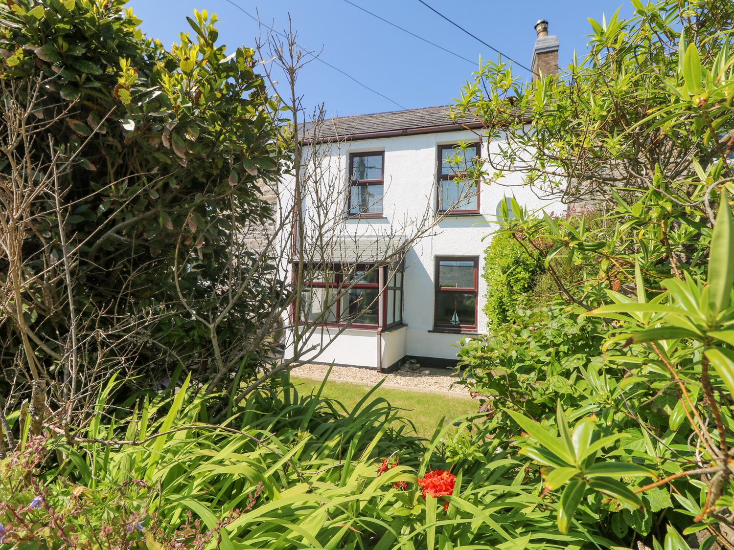 Blue Reef Cottage                     photo 2