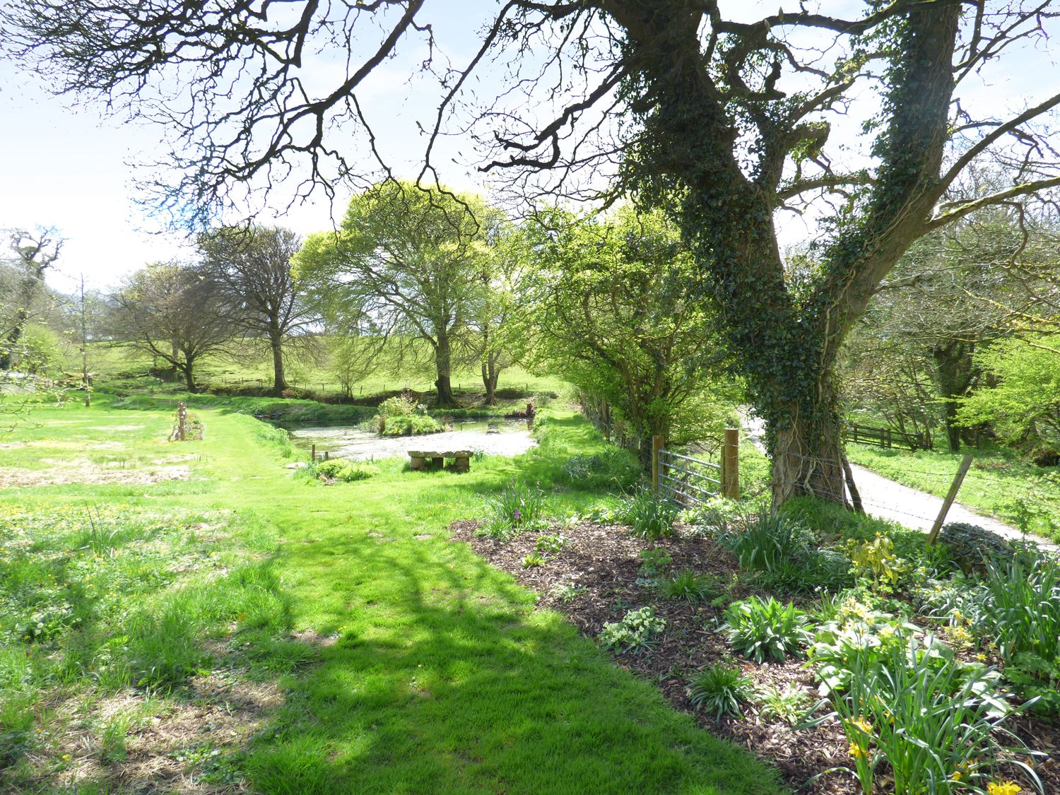 A garden area with grass a pond trees and plants at Old Mill Cottage in Camelford